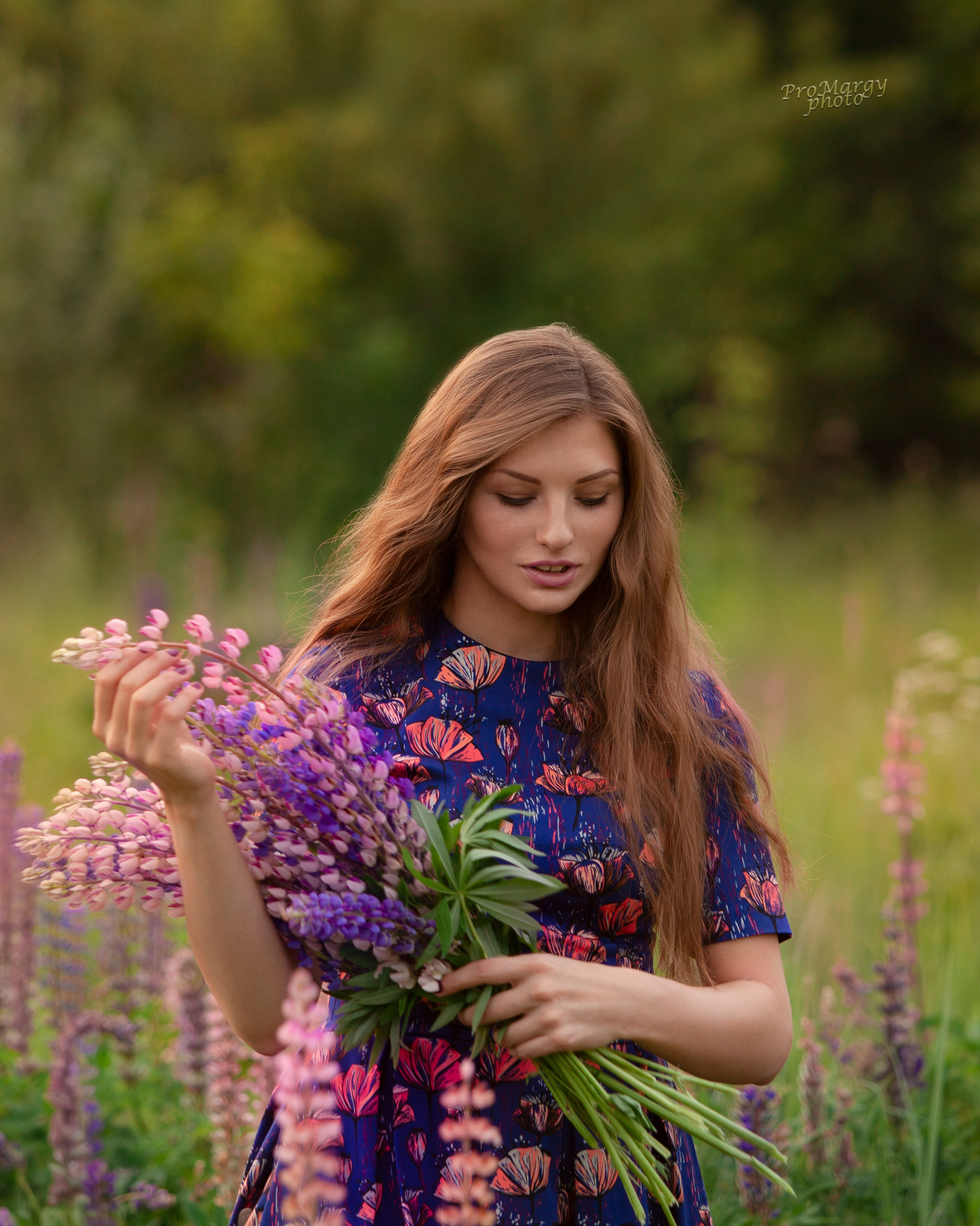 Анна. Люпиновый зефир (фотопрогулки). Фотограф и ретушер Маргарита Павлюк Москва