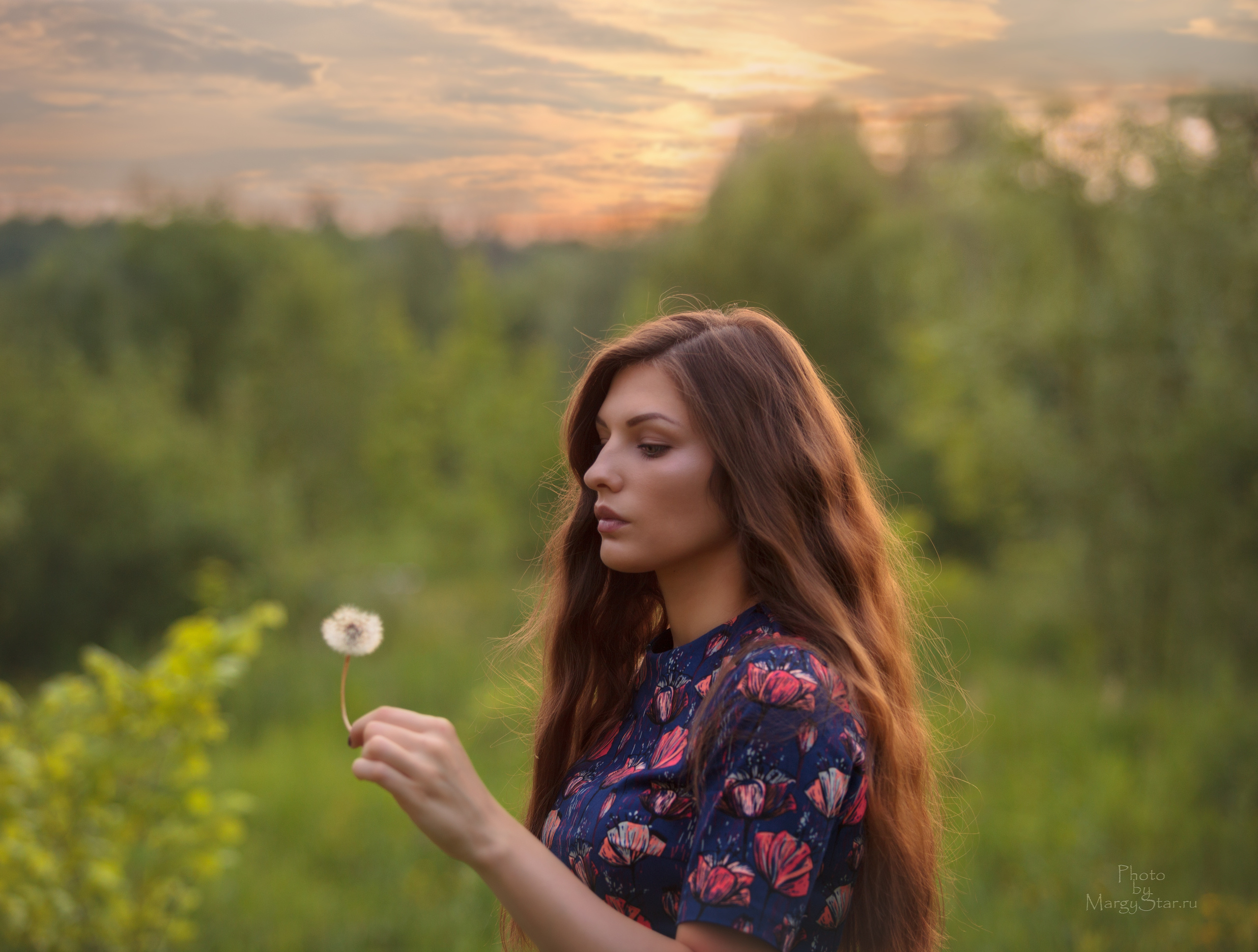 Анна. Люпиновый зефир (фотопрогулки). Фотограф и ретушер Маргарита Павлюк Москва