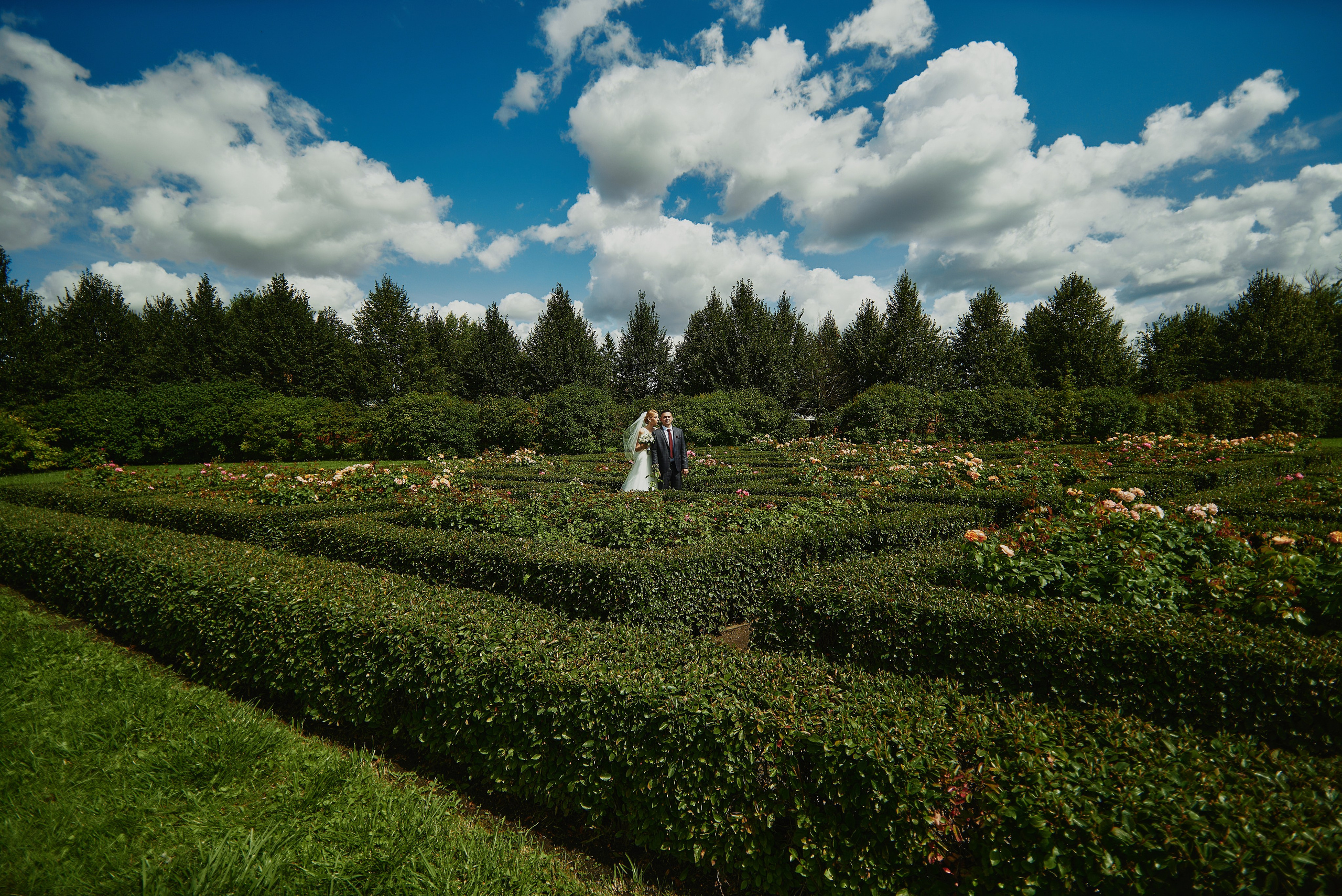 Артём и Ярослава. Фото-видеосъемка свадеб Venson Films