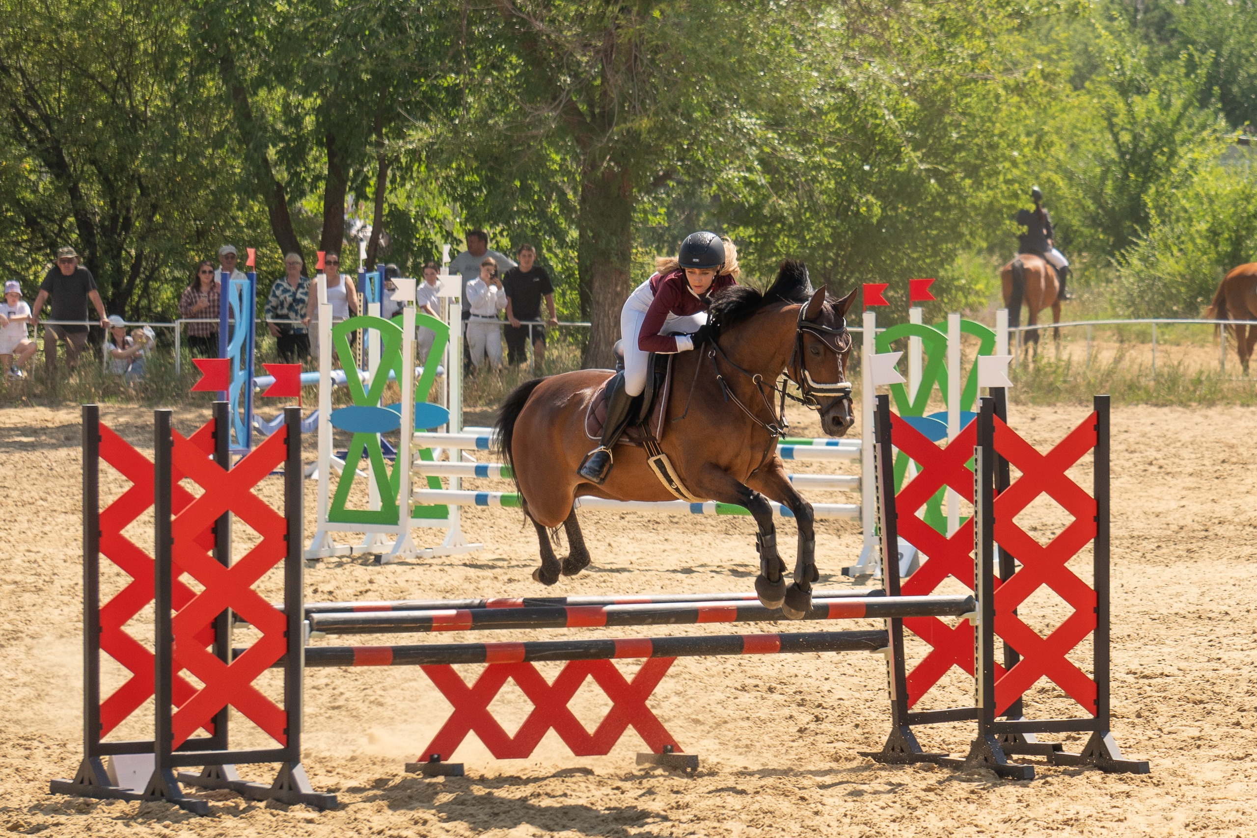 Соревнования по конкуру, Луганск. Фотограф в РФ и ЛНР Юлия Федосеева