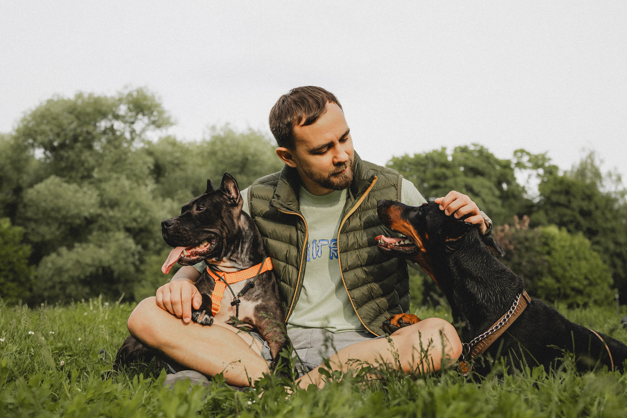 Паша, Хайди и Тея