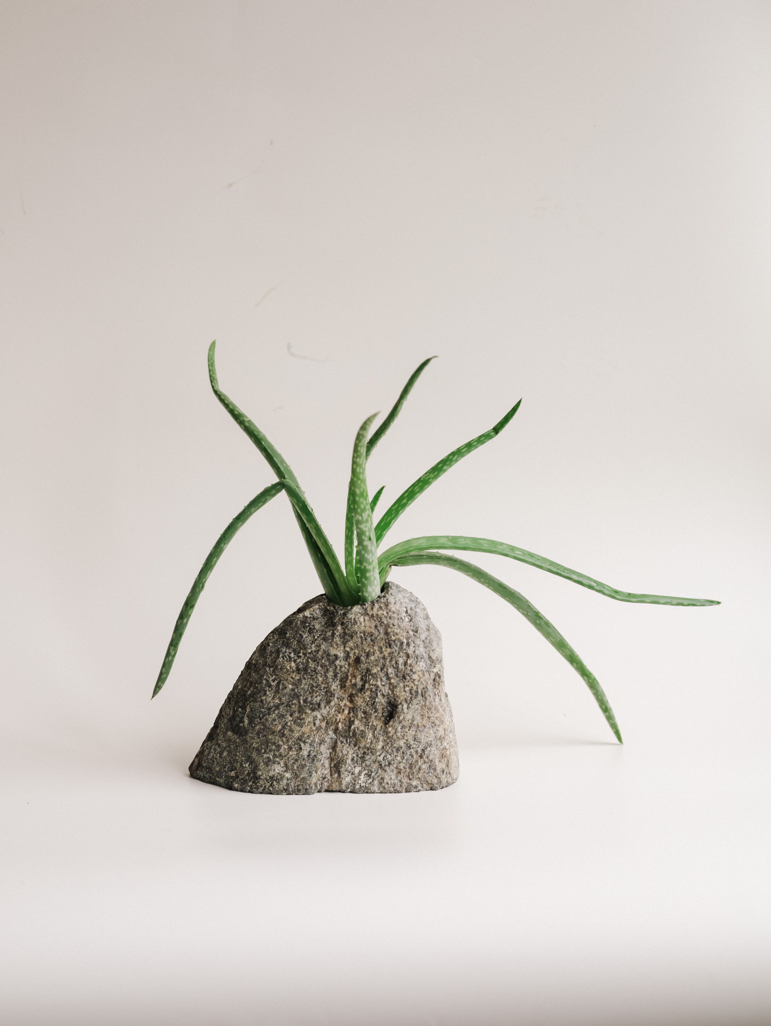 Подсвечники и салфетницы. Алёна Стерхова — Предметный и портретный фотограф. Ижевск