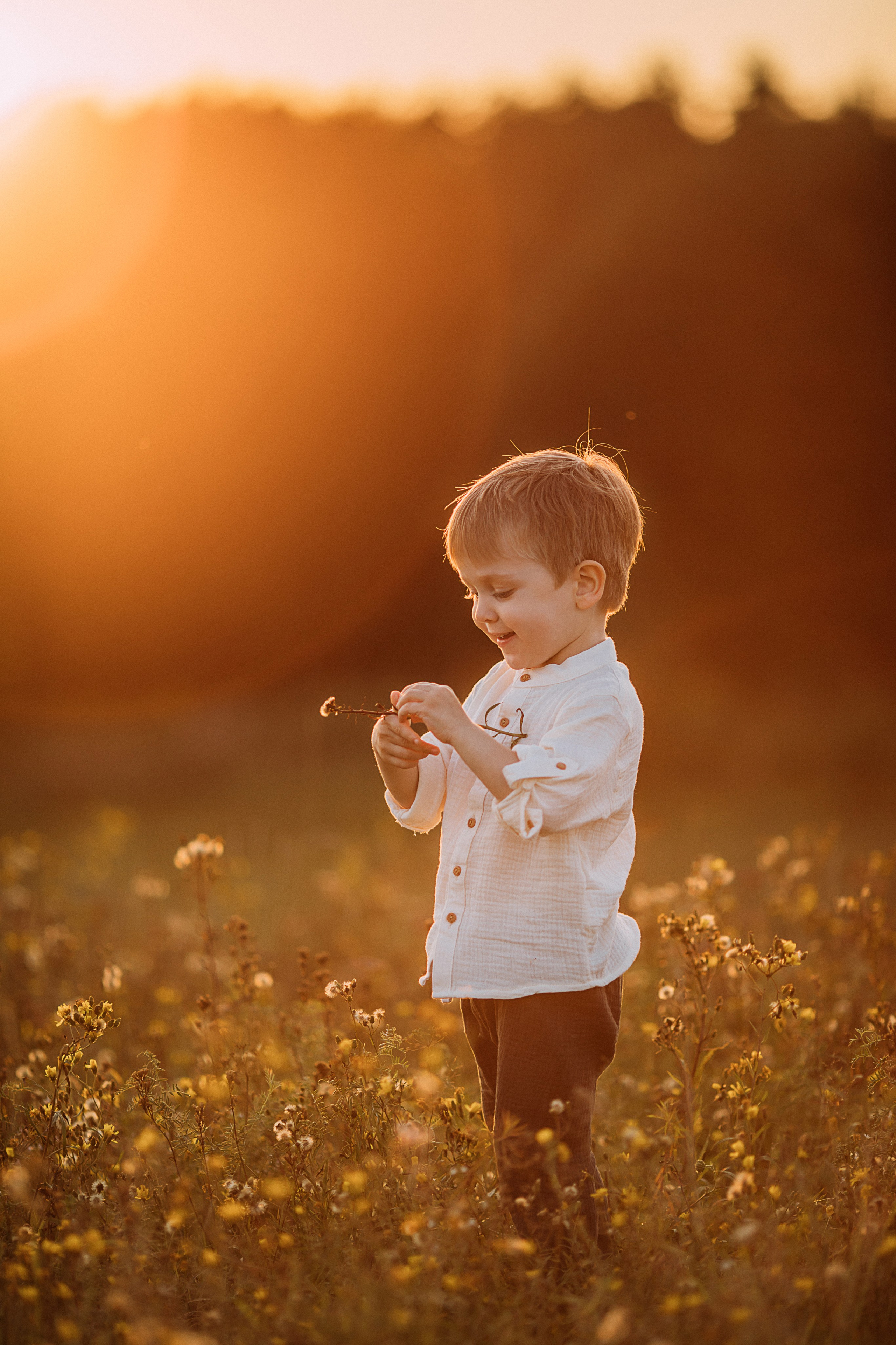 Заповедник Колтушские высоты. Детский и семейный фотограф Муксимова Ирина