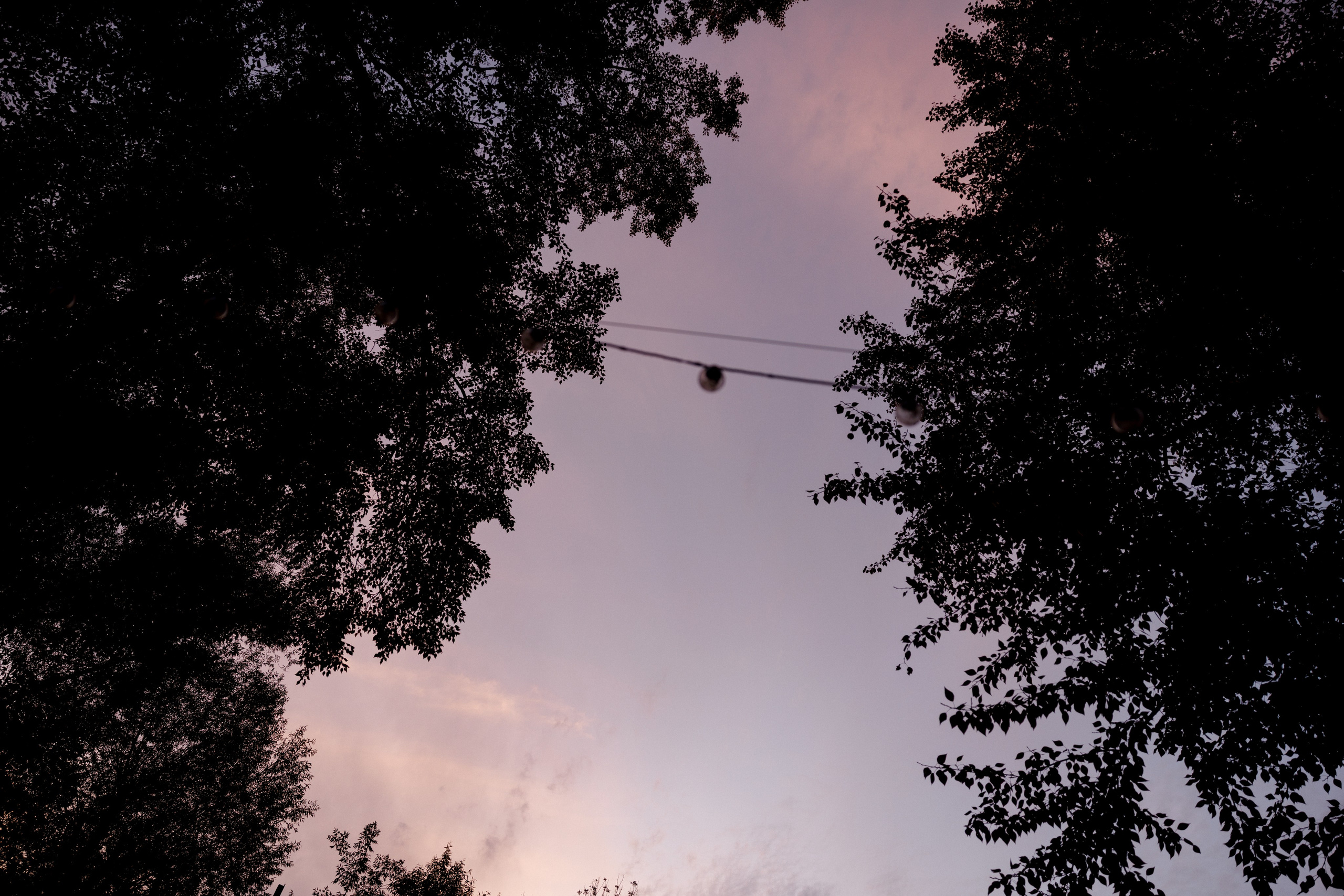 Ромашковые ромашки. Свадебный и семейный фотограф в Твери, Москве, Санкт-Петербурге