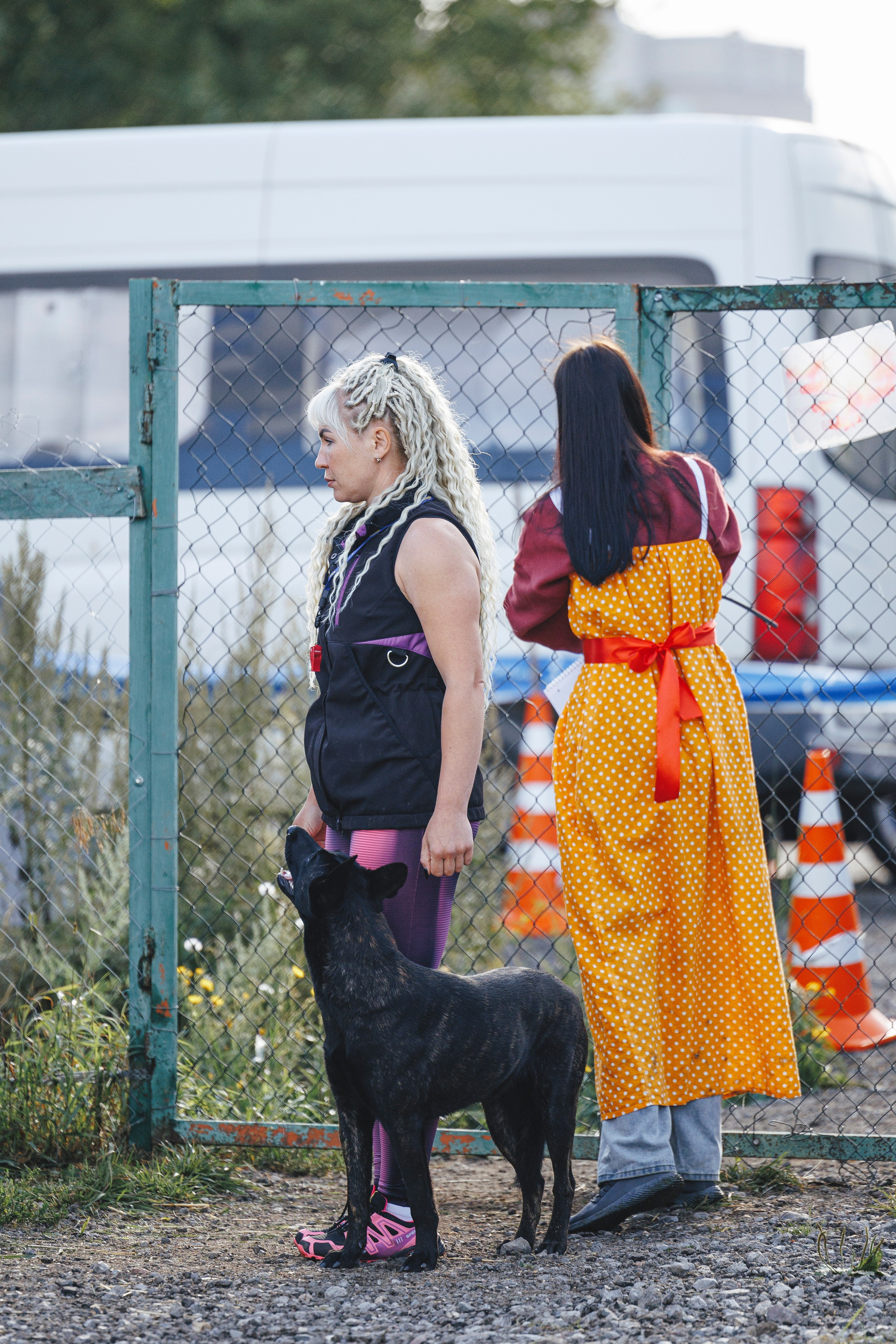 08.08.25-10.08.25 ЧР по мондьорингу г. Вологда. Фотограф-анималист Анна Маринич