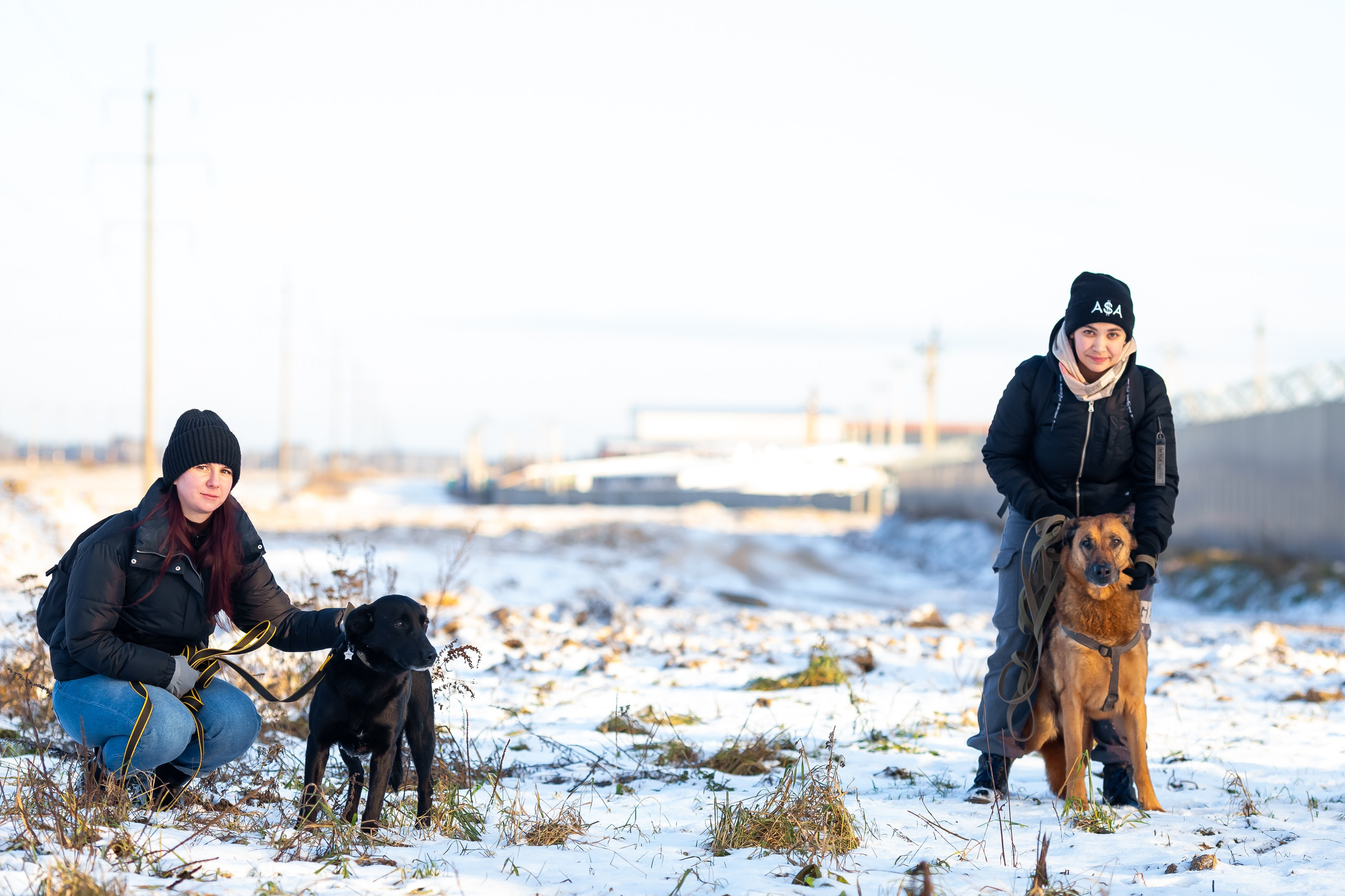 Petshop Забота. Фотограф в Санкт-Петербурге Чумаков Семен