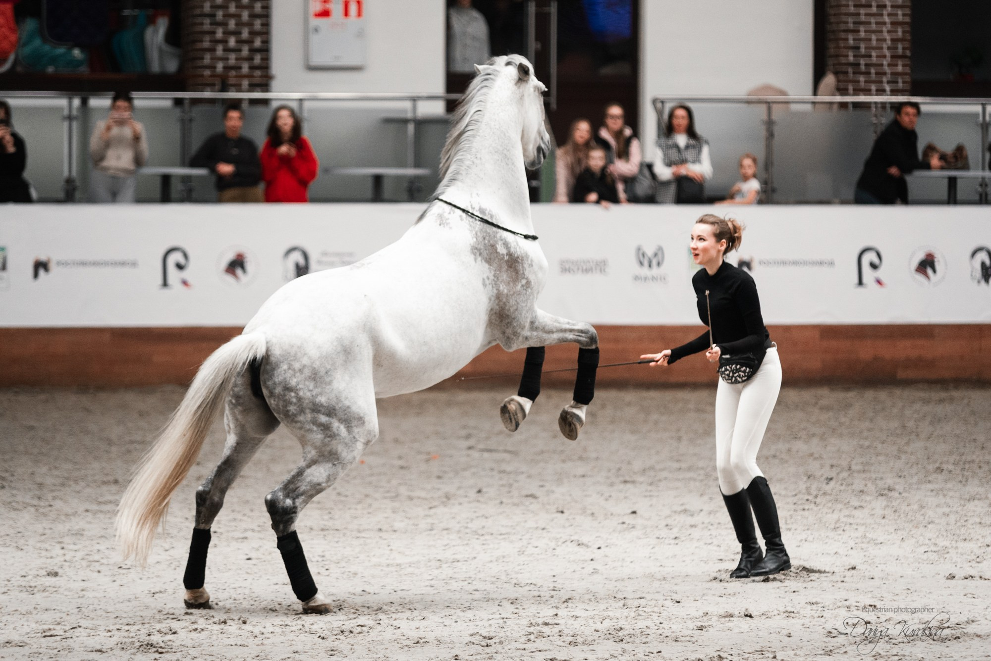 8-я международная выставка Конная Россия. Конный фотограф Куракина Дарья • Фотосессии с лошадьми