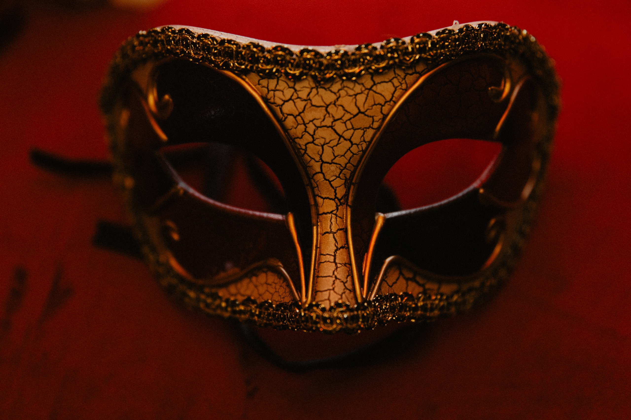 Свадьба во дворце. Фотограф Муратова Алена