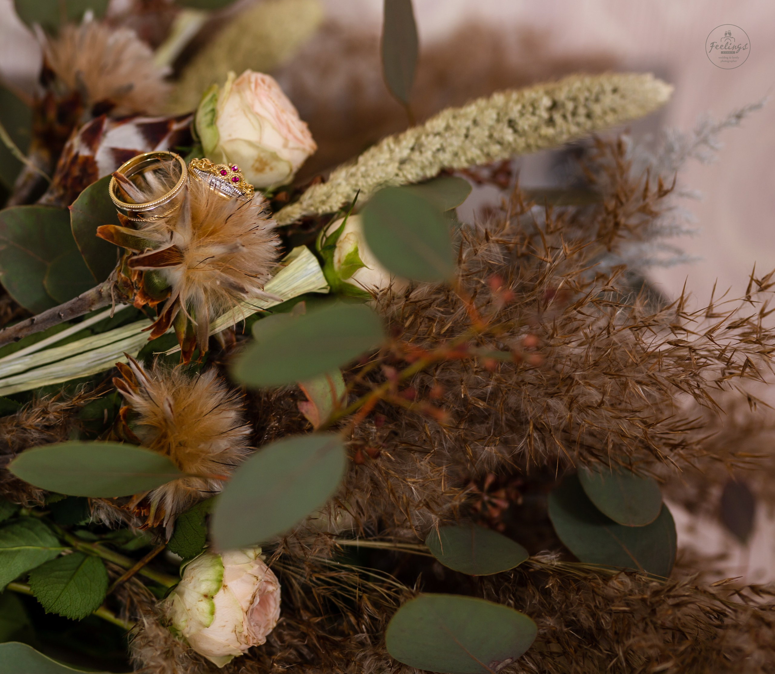 Элона и Евгений. Главная