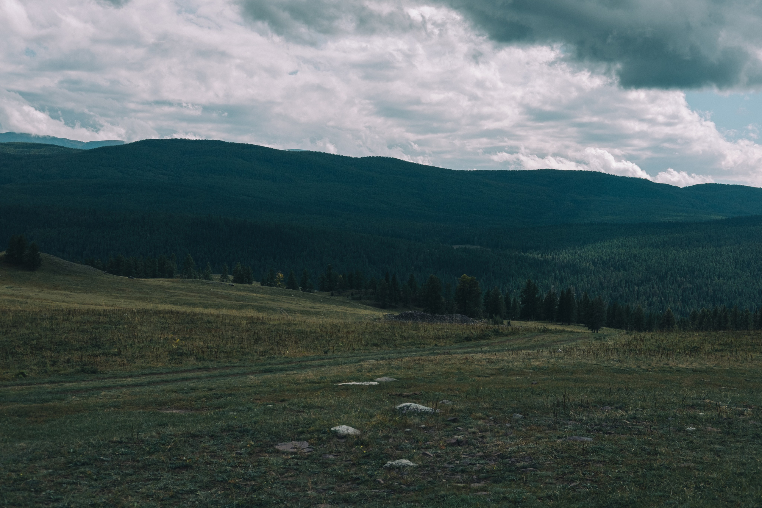 Алтай (мобилография). Фотограф в Москве, в Самаре Инна Мамонова