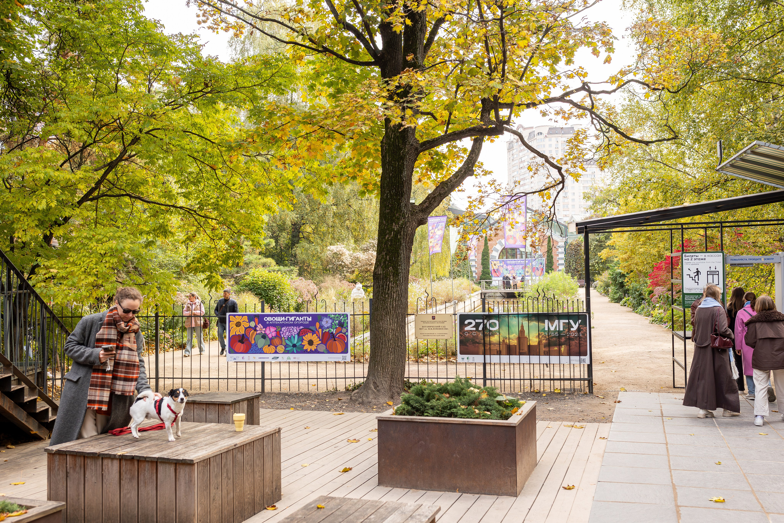 Овощи-гиганты. Александра Куликова фотограф, Москва
