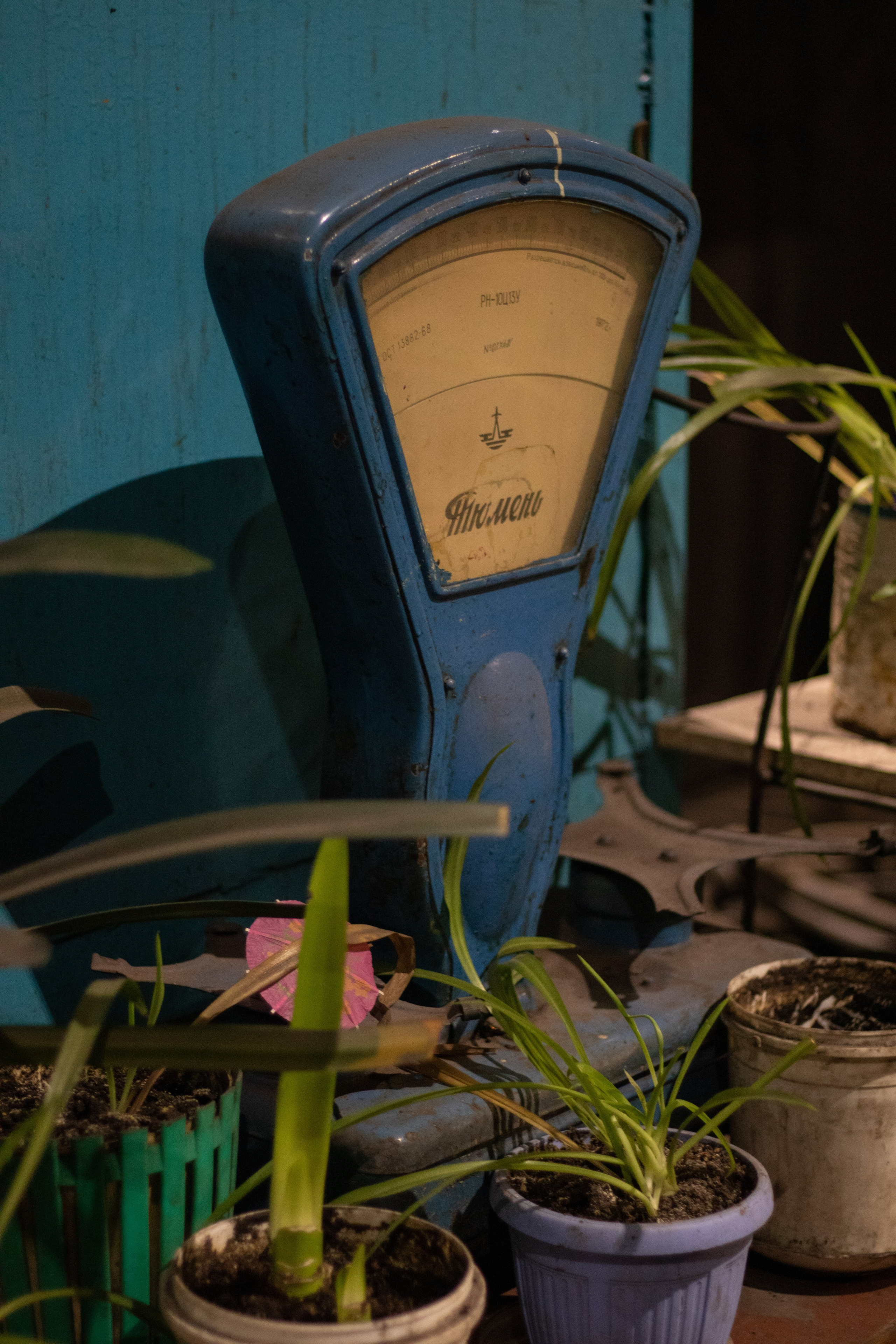 BURKALO PRODUCTION ИЗТМ. Boringowl | Коммерческий фотограф в Иркутске Раиса Ботороева