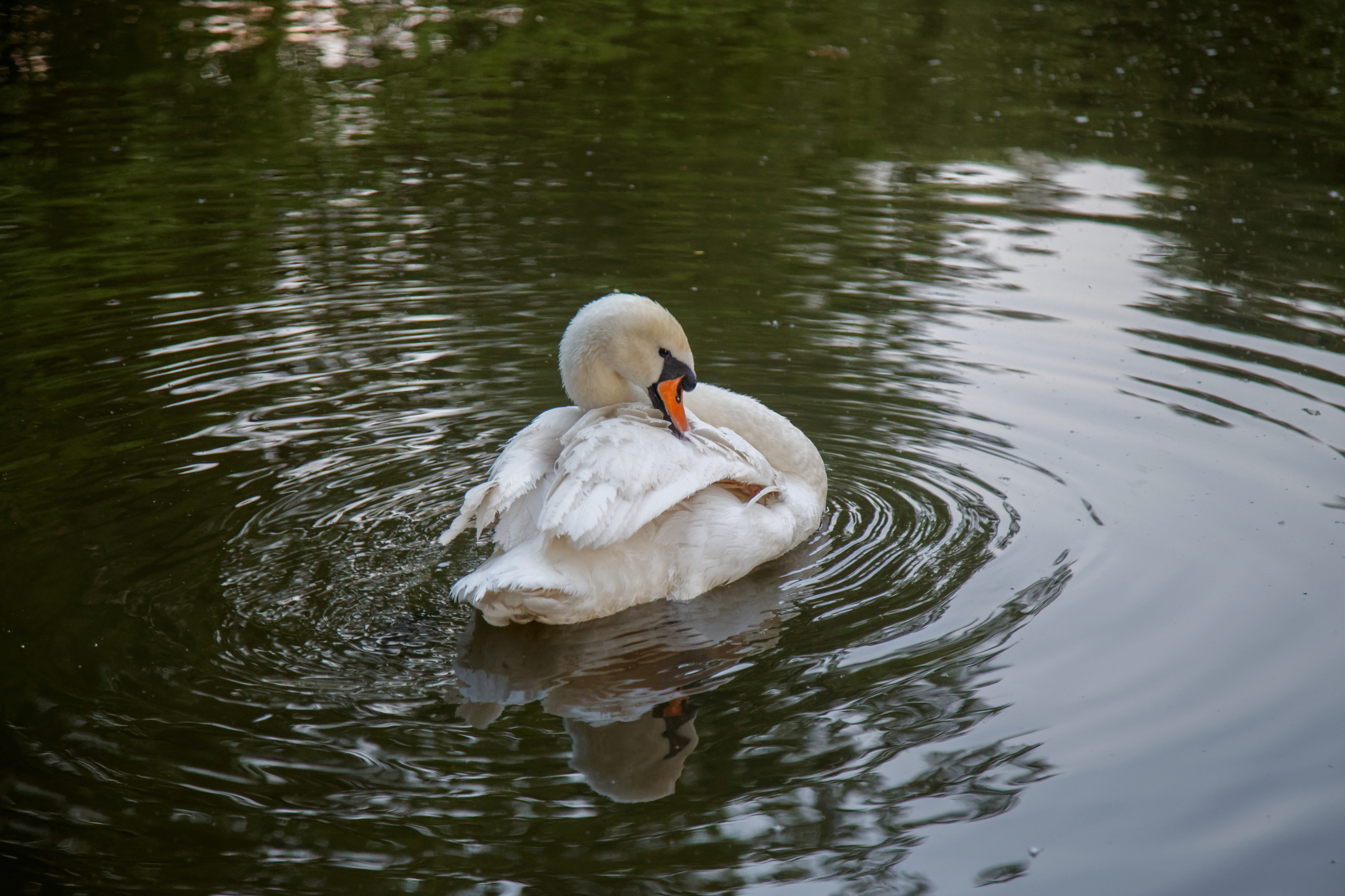 Парк Царицыно