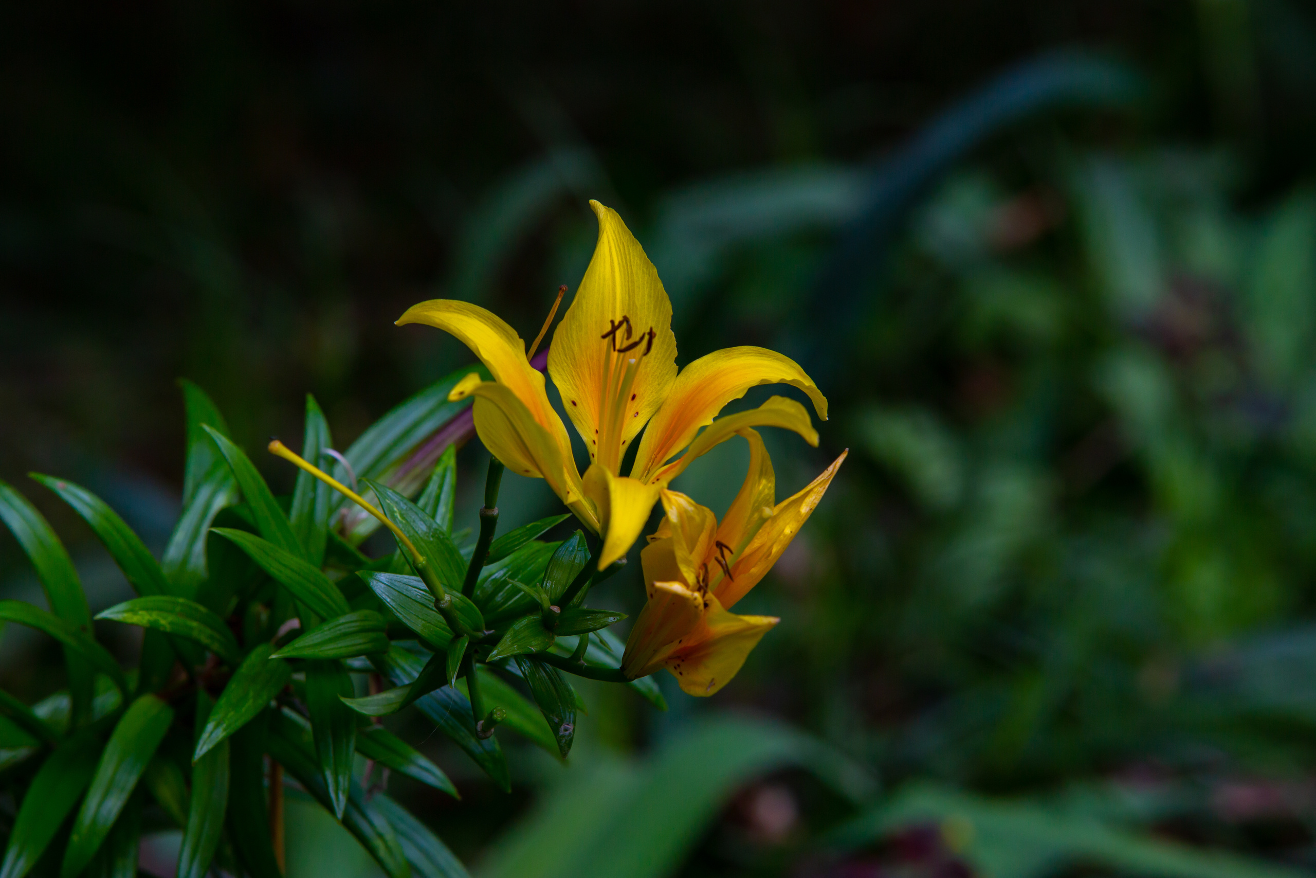 Коллекция пейзажных фотографий. Photographer Sonkina Tatiana (Tanya Ash)