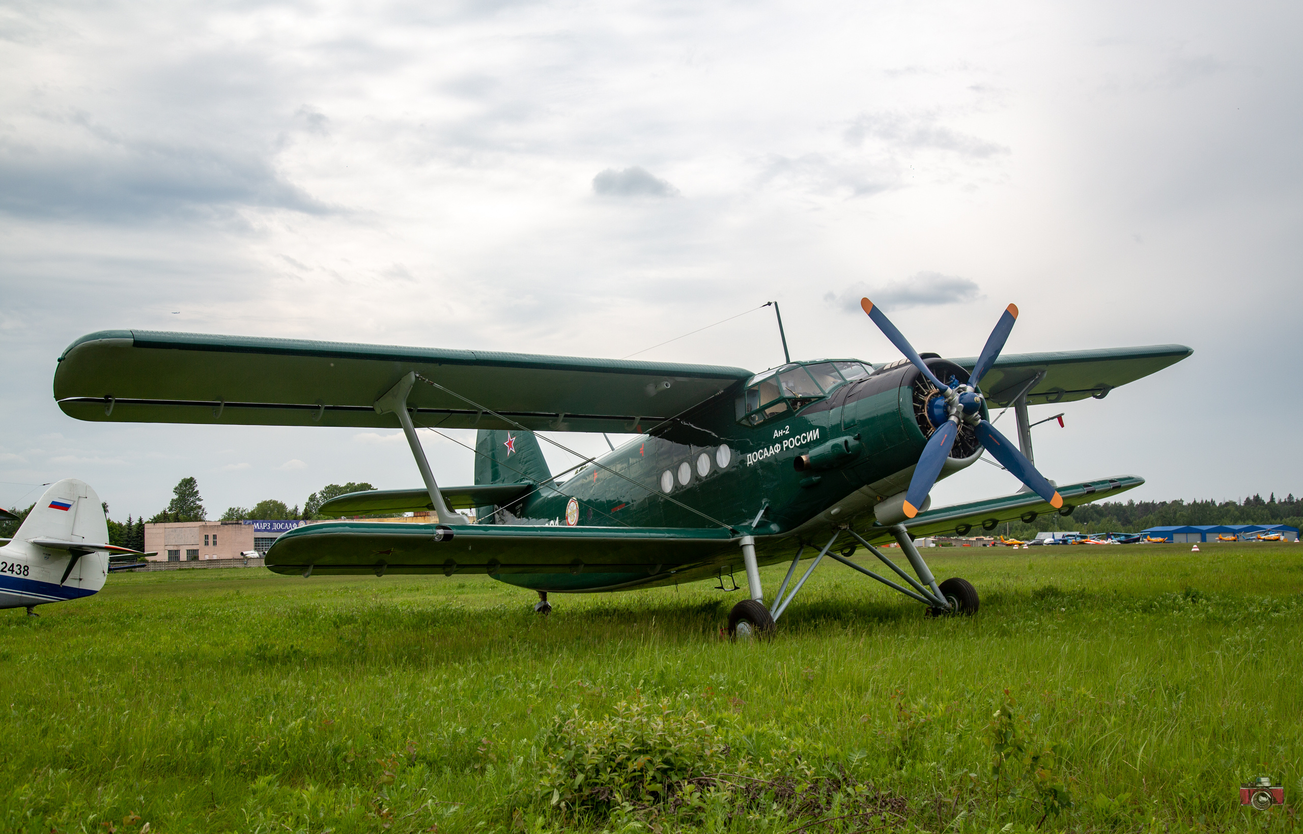 Фестиваль НЕБО 2019. Фотограф Сонкина Татьяна