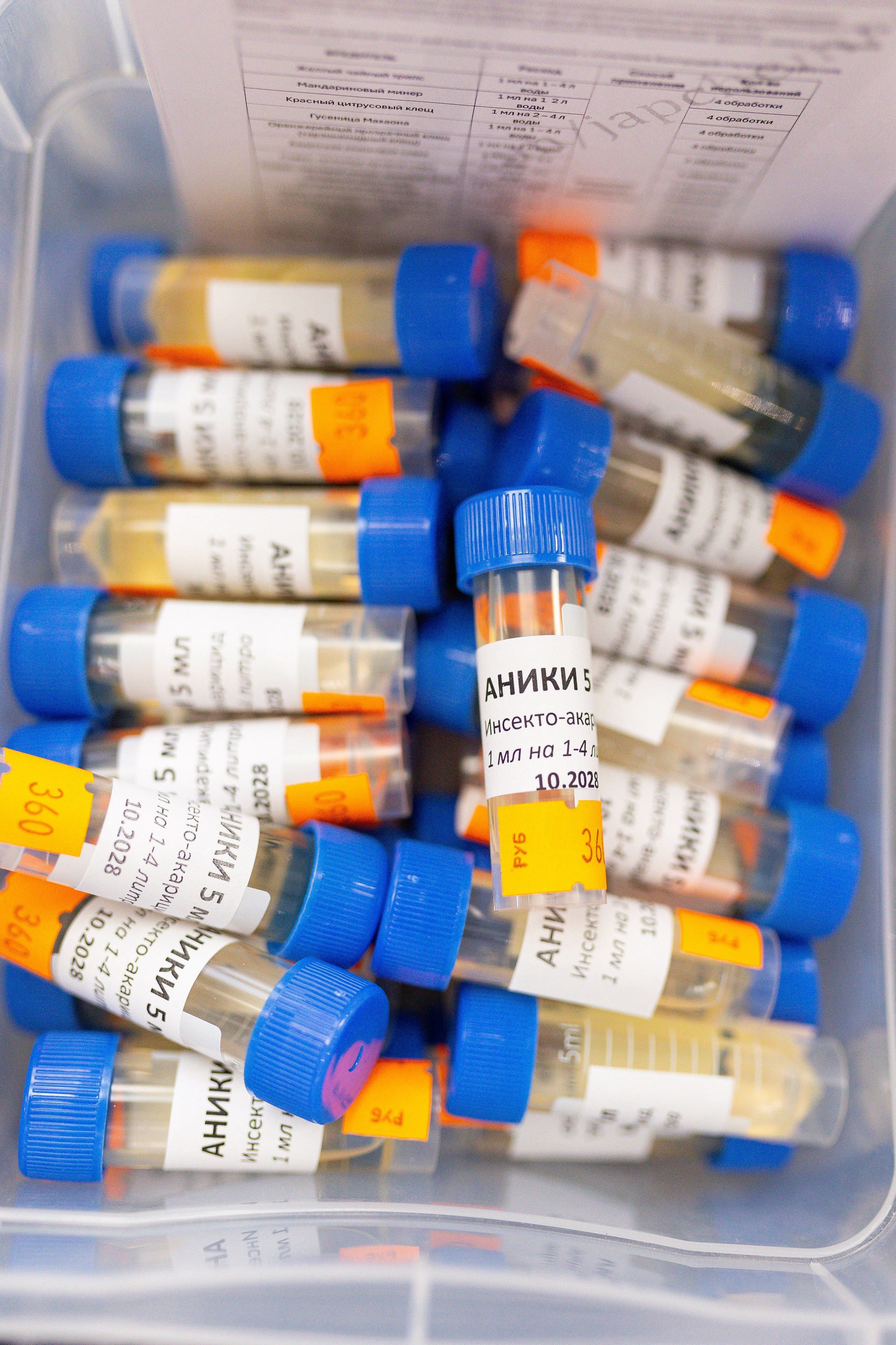 Орхидиум сентябрь 2025. Александра Куликова фотограф, Москва