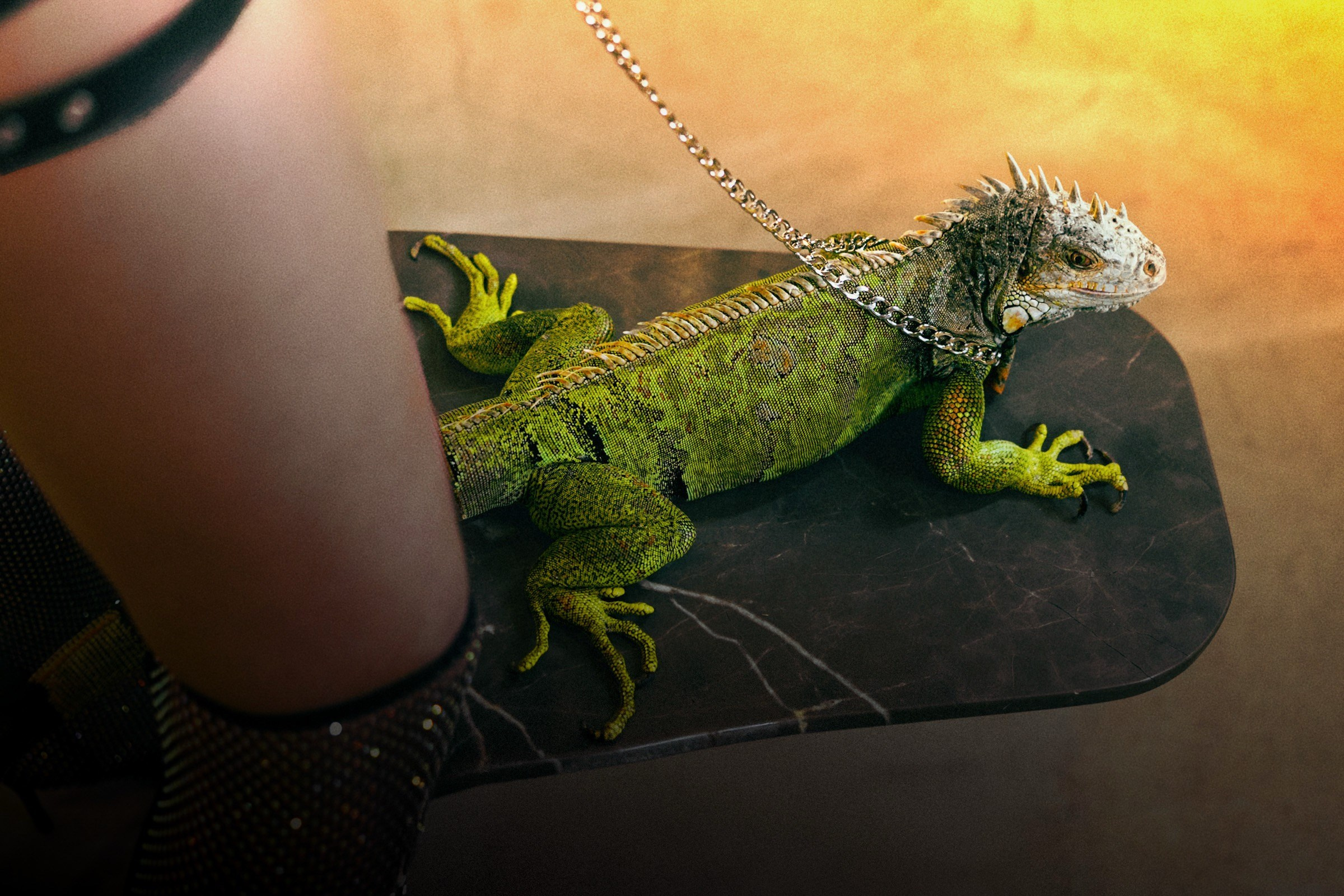 LENA pt. 1. Фотограф и Видеограф в Томске