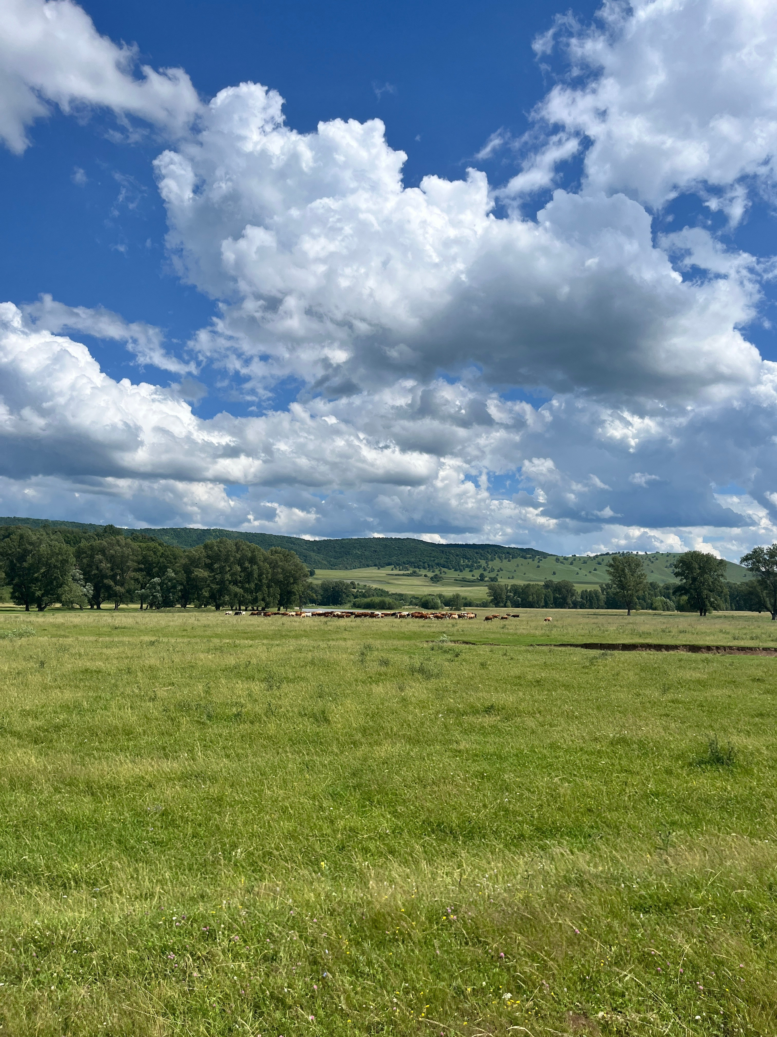 Конный тур к скале Уклы-Кая из Уфы — Время приключений