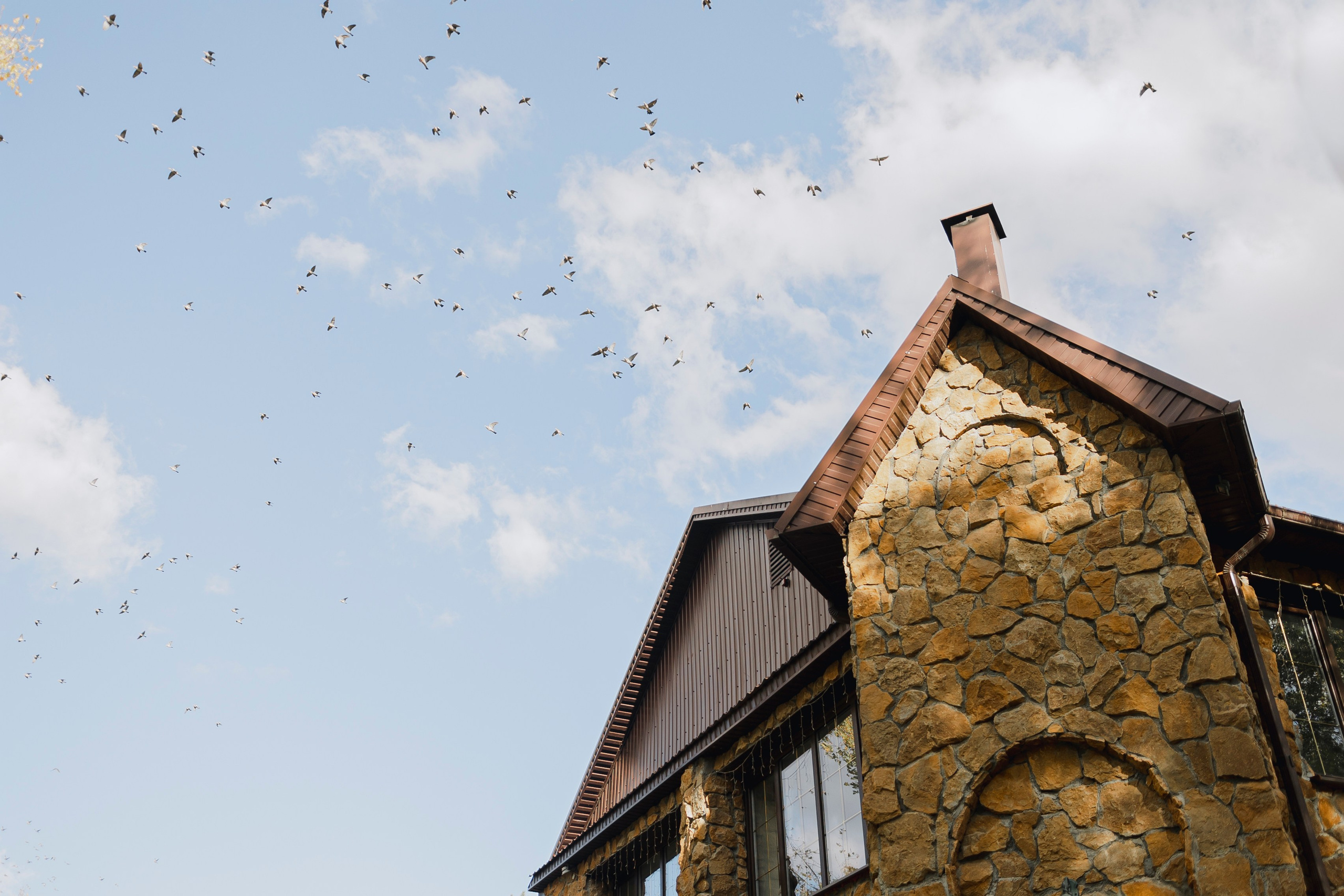 MIKHAI & ANASTASIA | PYATIGORSK. Фотограф Настя Конник | Пятигорск | Эльбрус | Домбай | Архыз