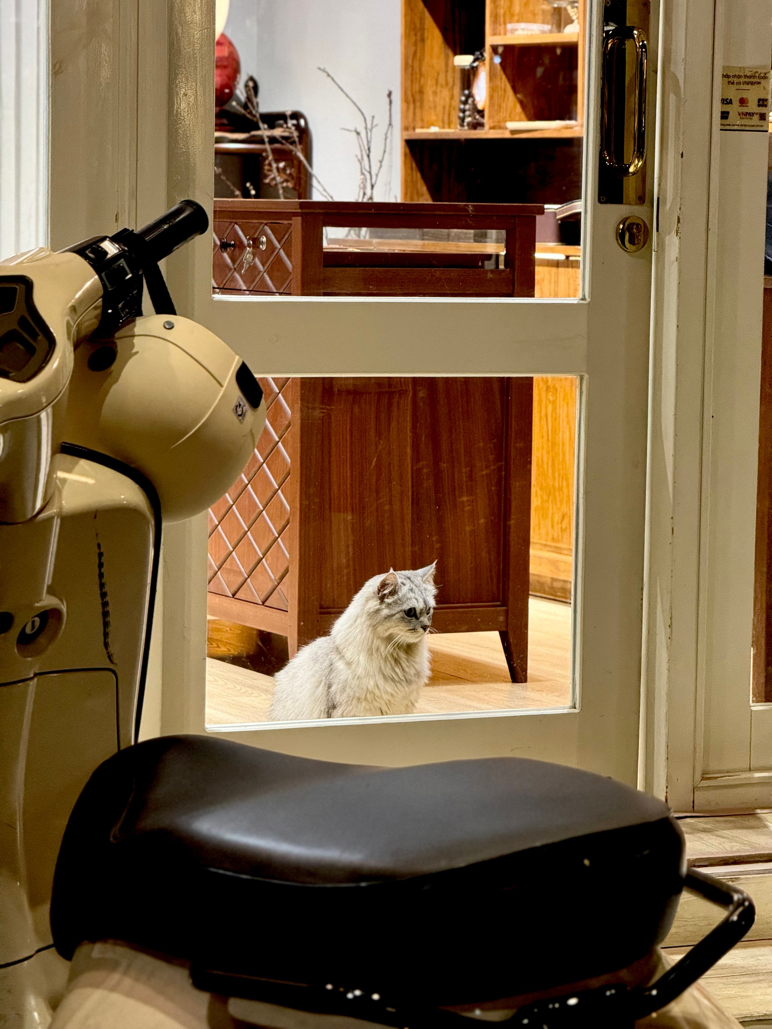 Вьетнам.Далат 2025. А вот и да!