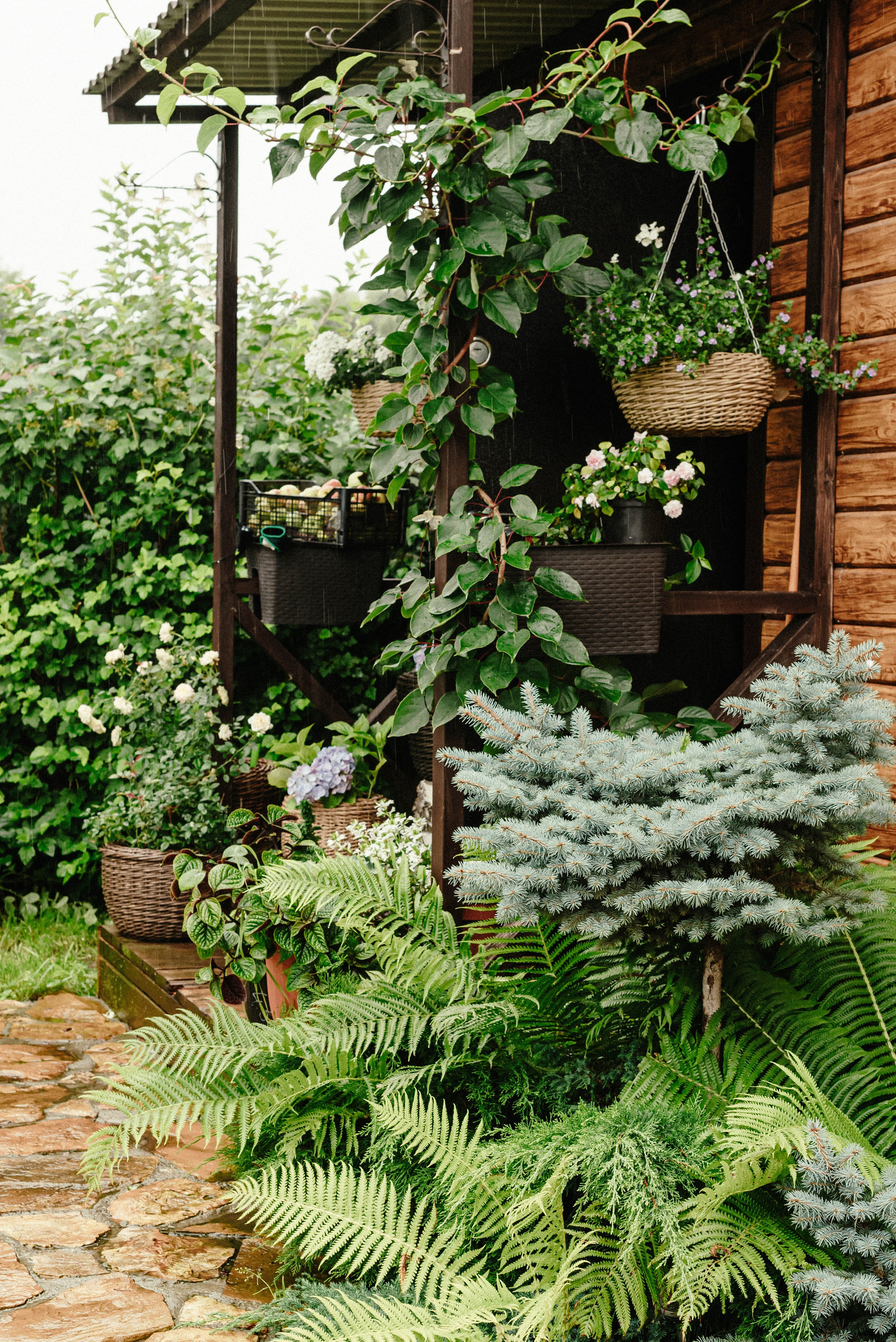 Лесное царство Оксаны. Свадебный и семейный фотограф в Новосибирске, Санкт-Петербурге, Москве