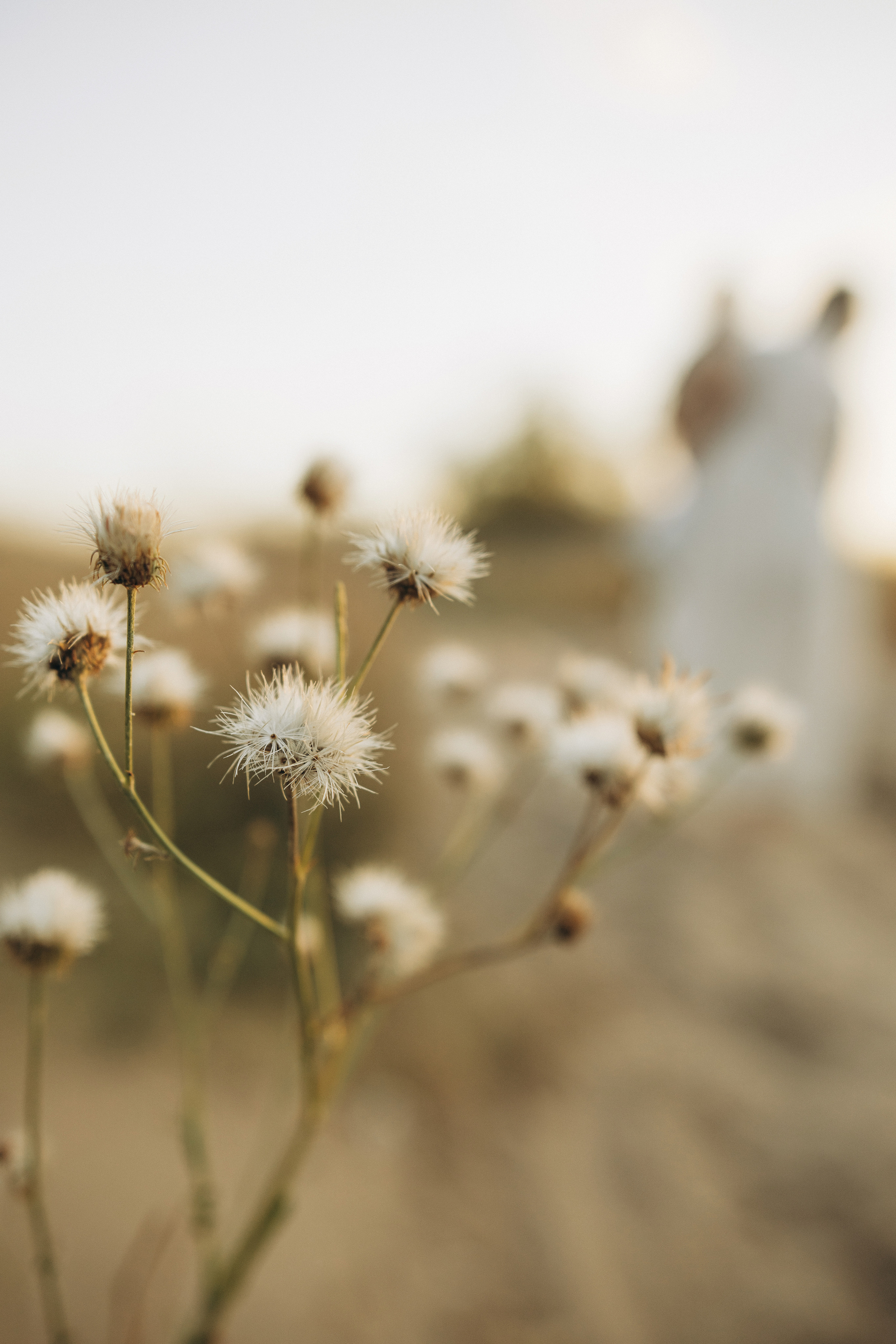 Аня и Тоня. Семейный фотограф и детский фотограф в Волгограде Алеся Бутакова — дет