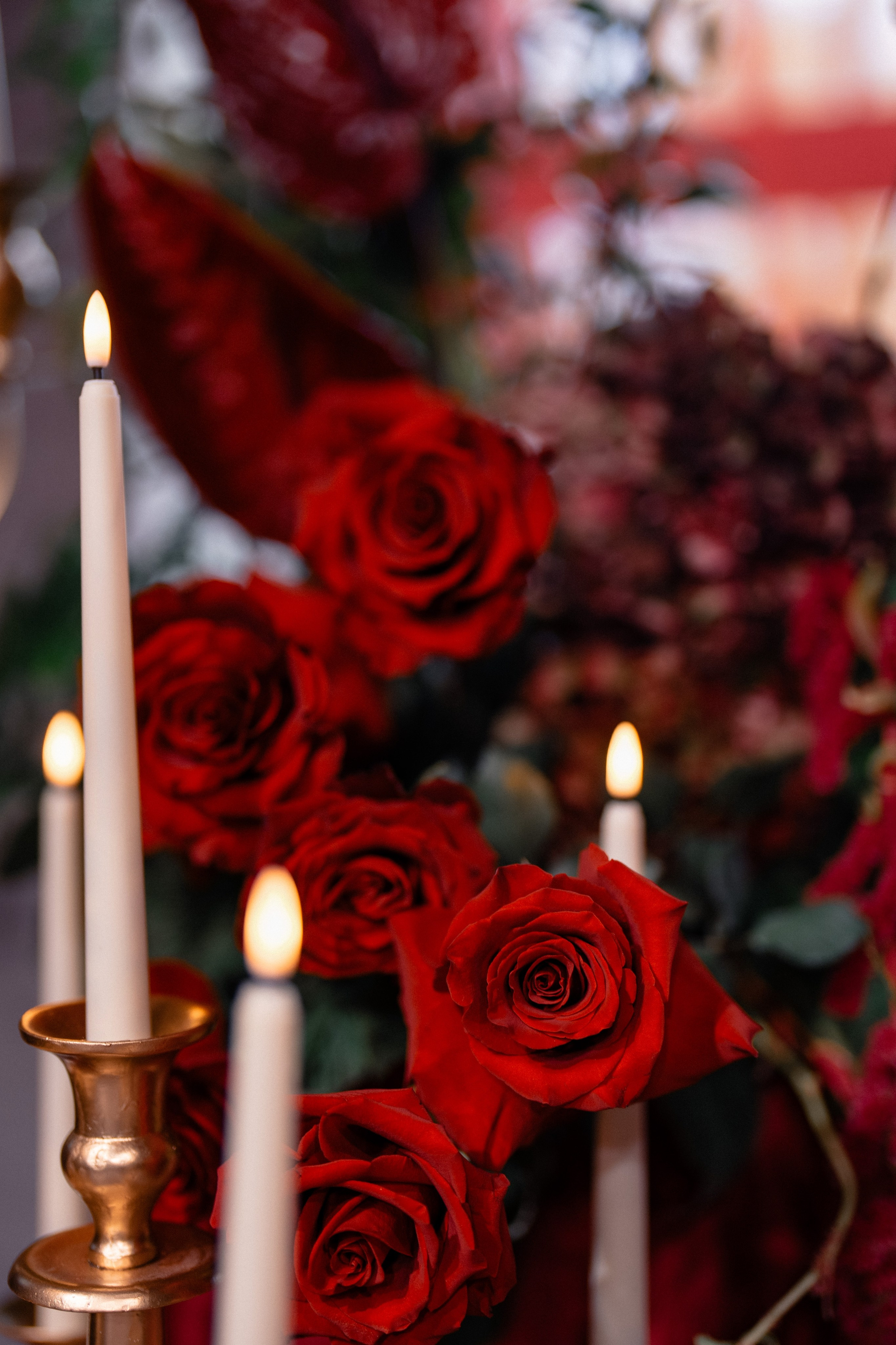 А+Л. Андрей Сухинин репортажный свадебный фотограф Санкт-Петербург