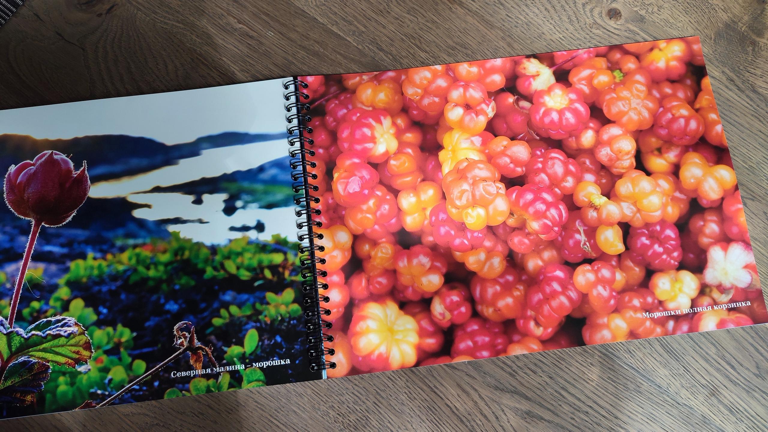 Фотокнига «Край реки сосновой» — фоторассказ о Печенгском районе. Пейзажи Крайнего Севера. Баренцево море, Рыбачий, Средний, Немецкий