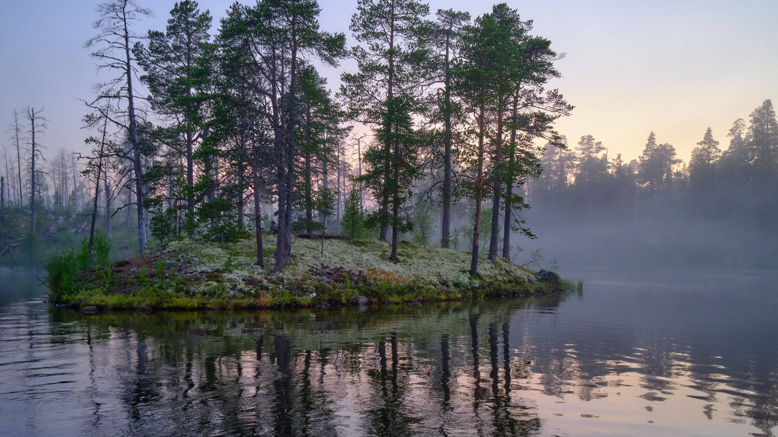 Река Паз. Пейзажи Крайнего Севера. Баренцево море, Рыбачий, Средний, Немецкий
