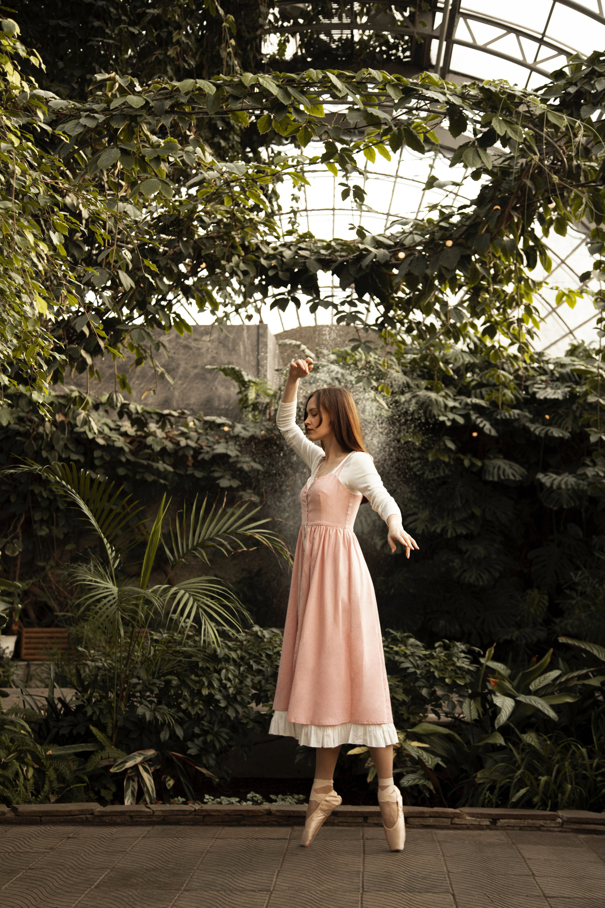 Оранжерея Таврического сада