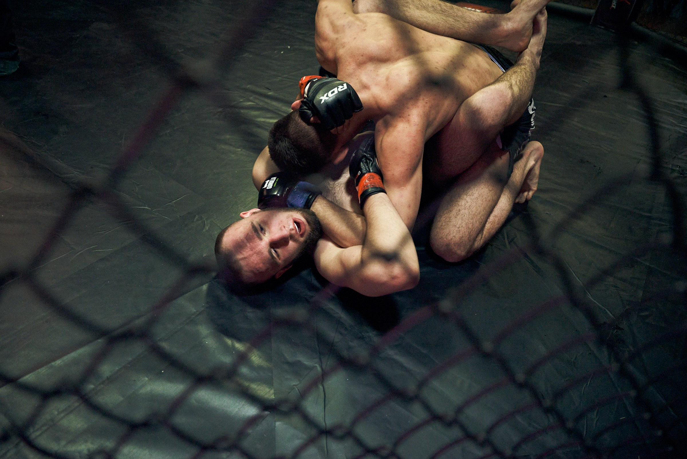 Бои. Маляревич Дмитрий свадебный фотограф