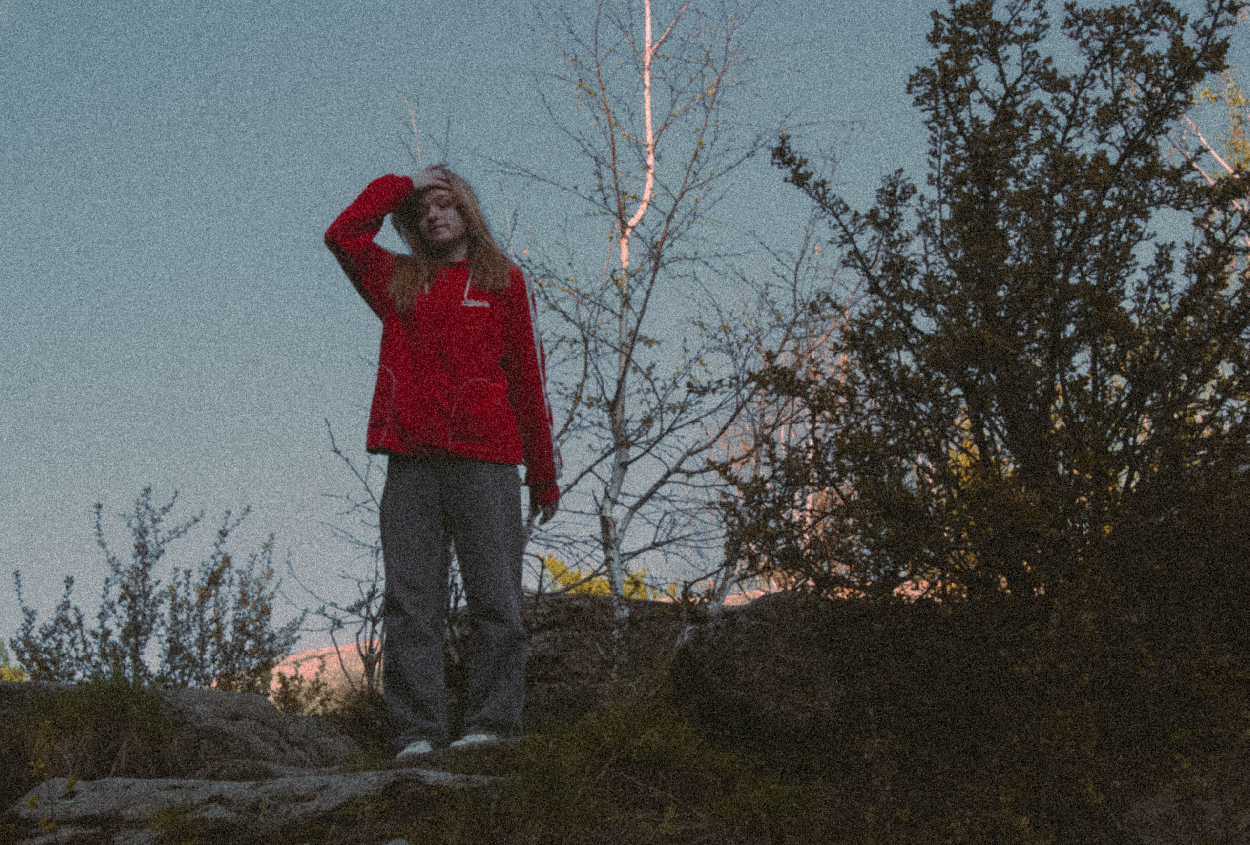 «Без названия»