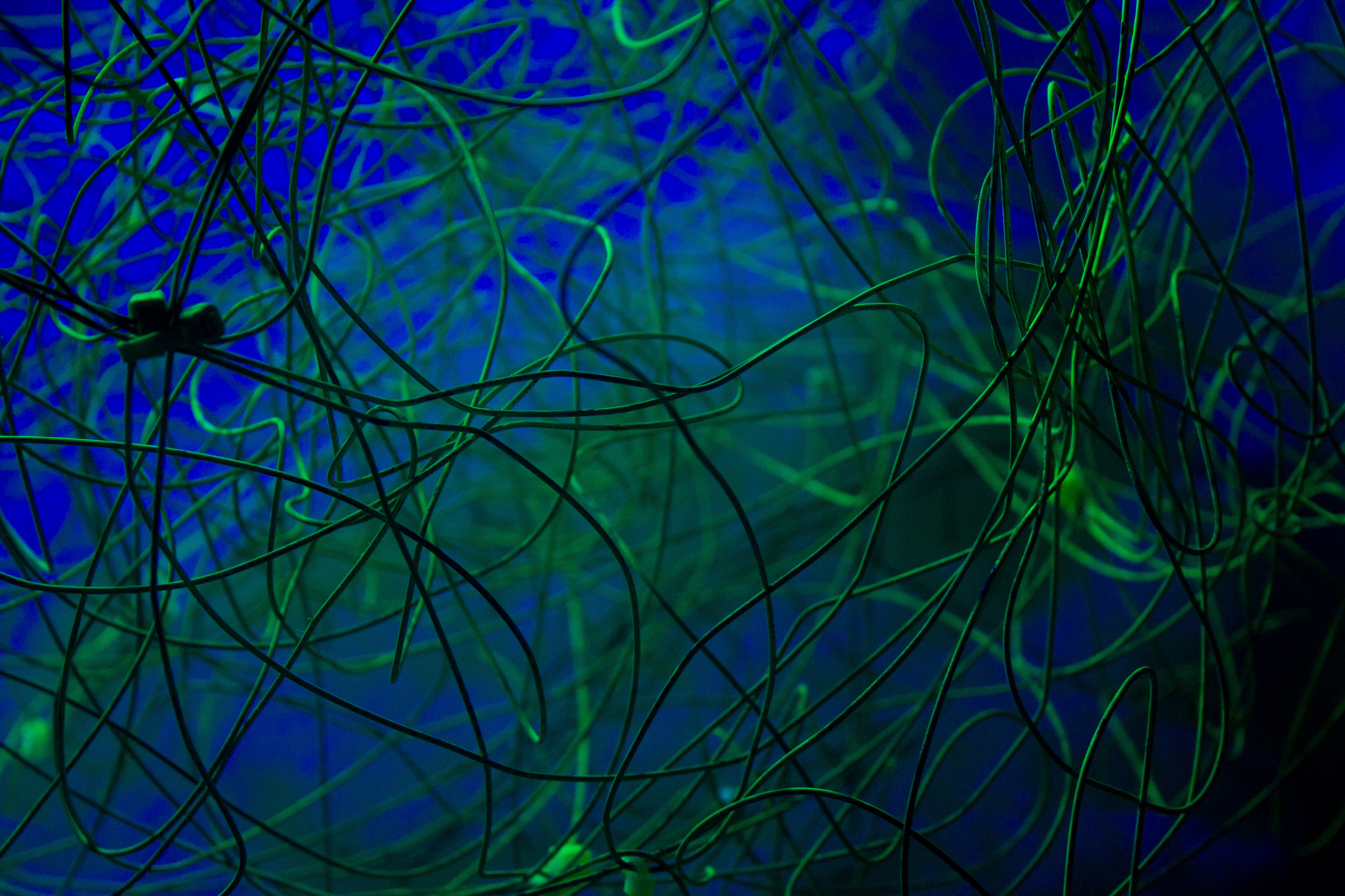 НЕ ТЕМНО 2024