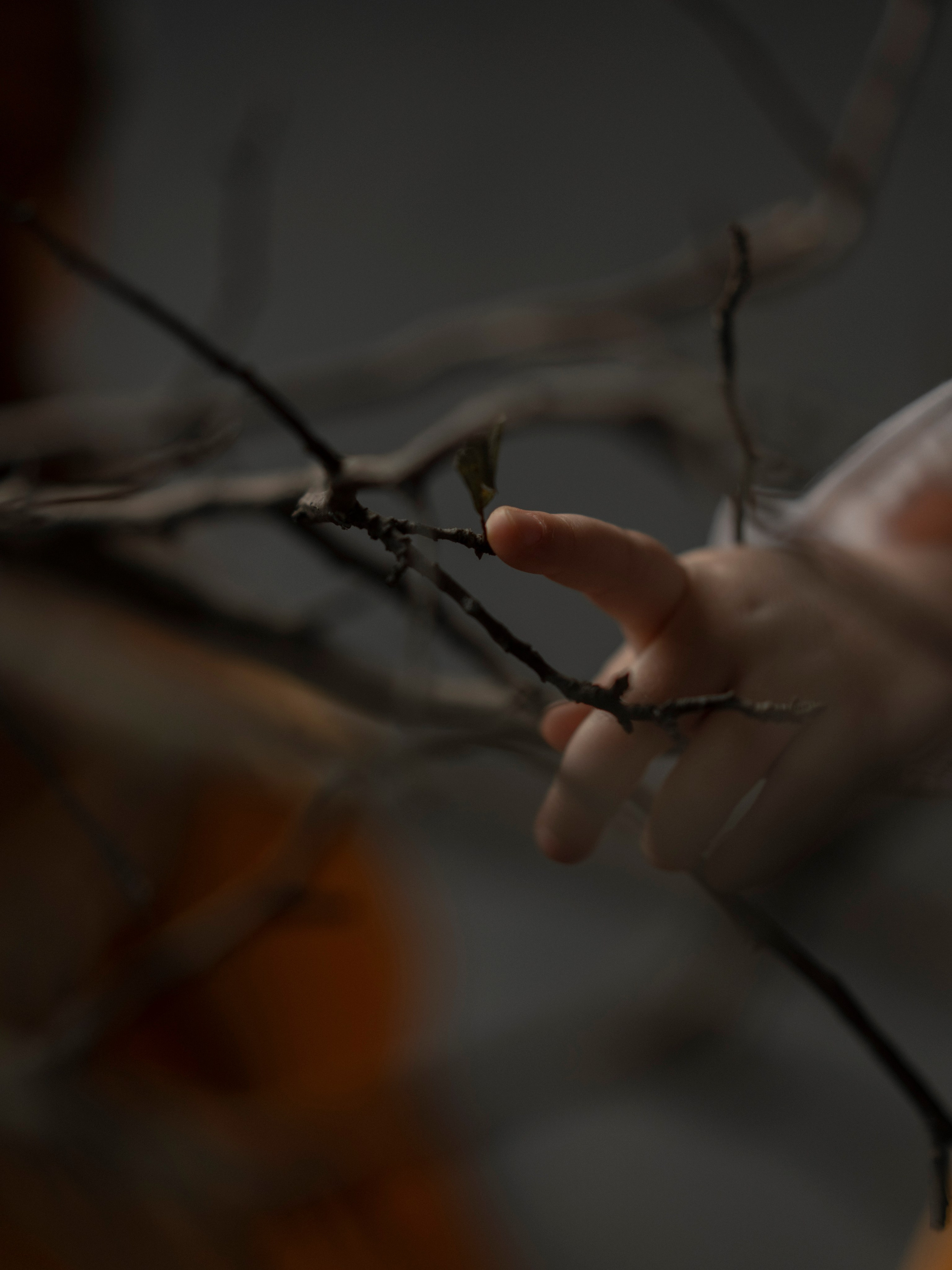 Веточки. Семейный и детский фотограф в Москве