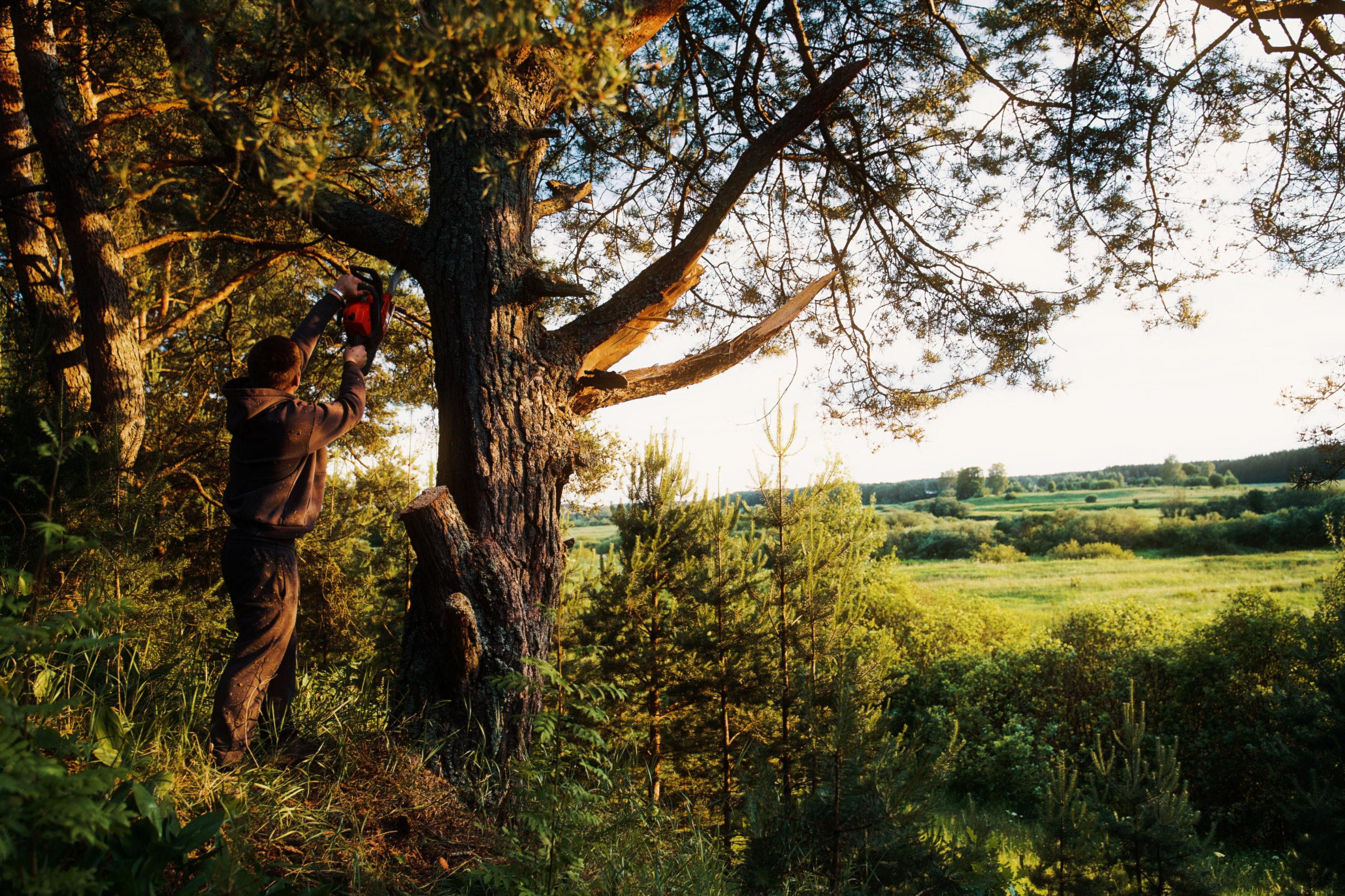 ПРИРОДА. Разноплановый фотограф из Москвы/Твери