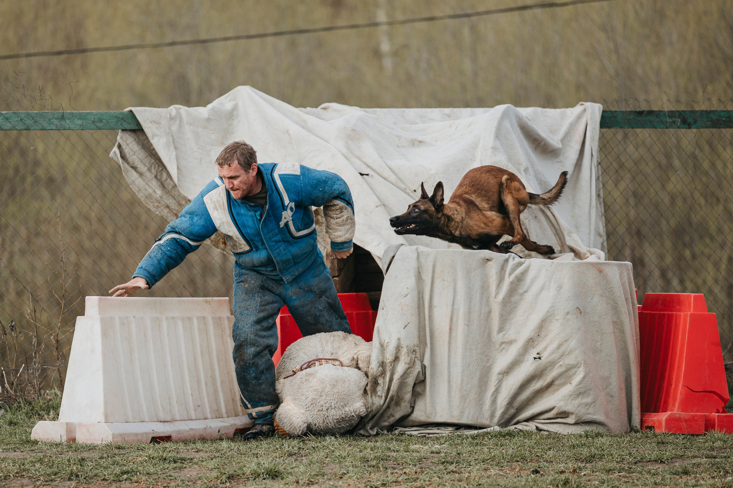 09.05.25 Вологда соревнования. Фотограф-анималист Анна Маринич