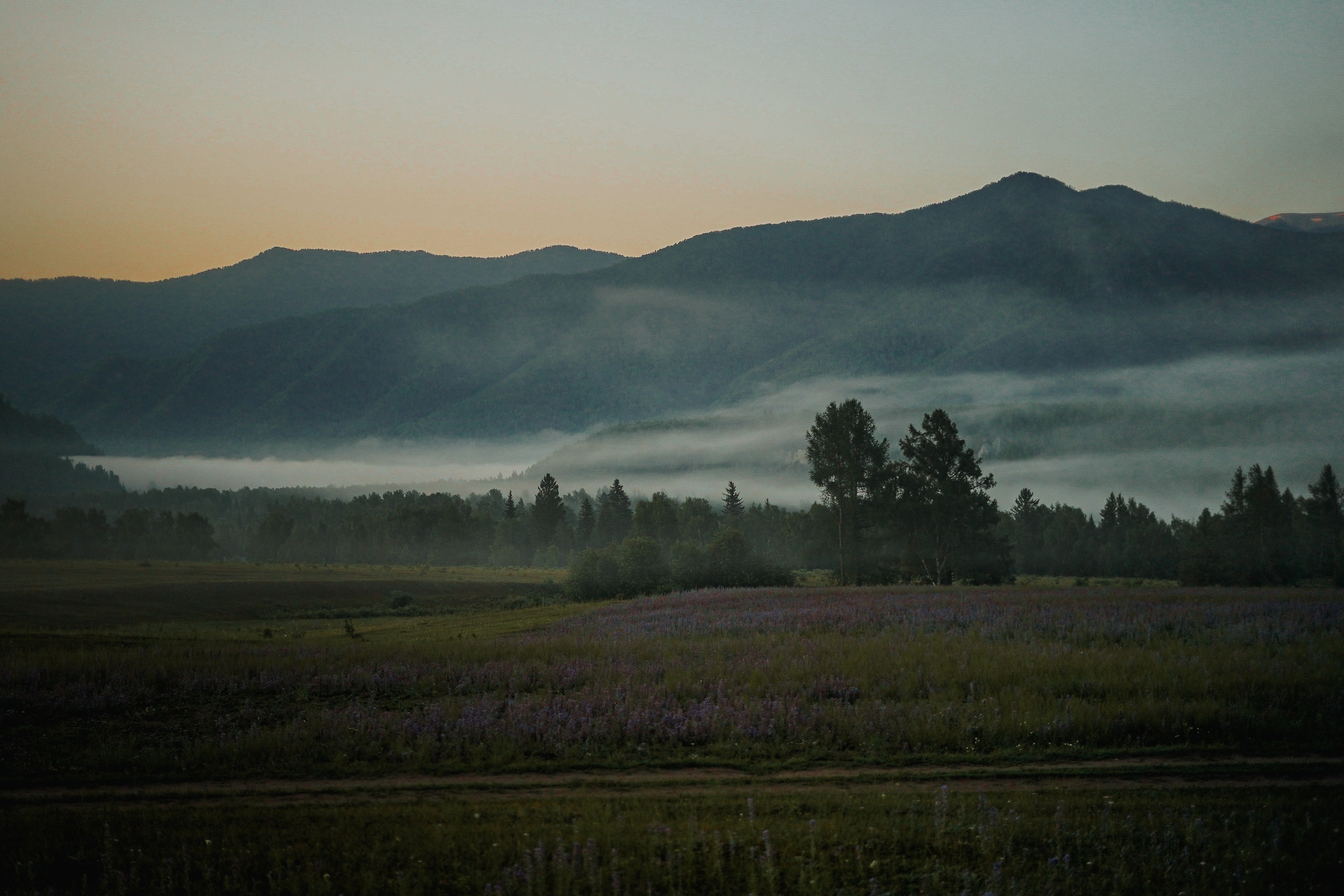 Алтай, поход к Белухе 2023. Фотограф Ольга Пучкова