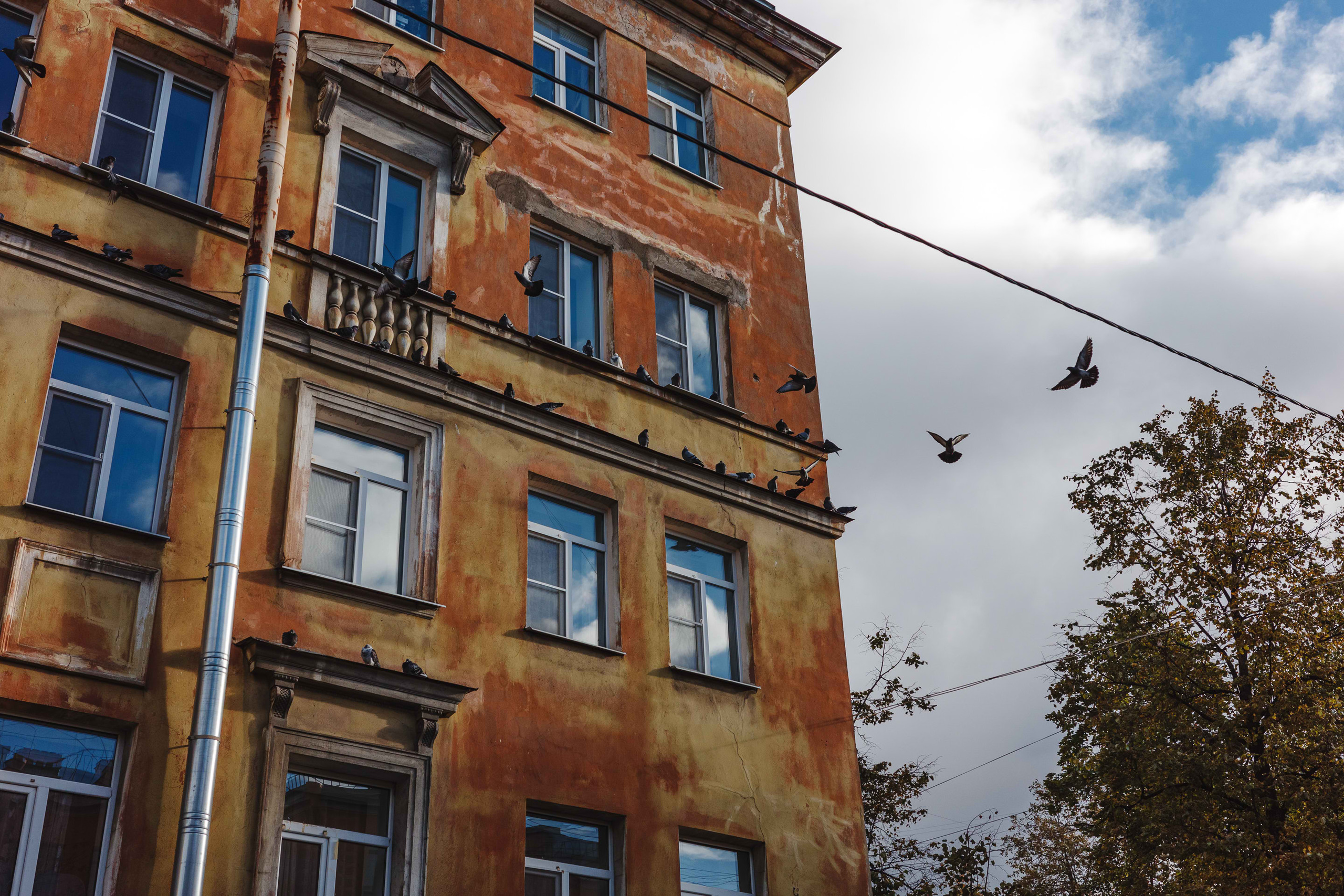 2023.10 — Тест Ricoh GRIIIx. Фотограф Алексей Алексеев