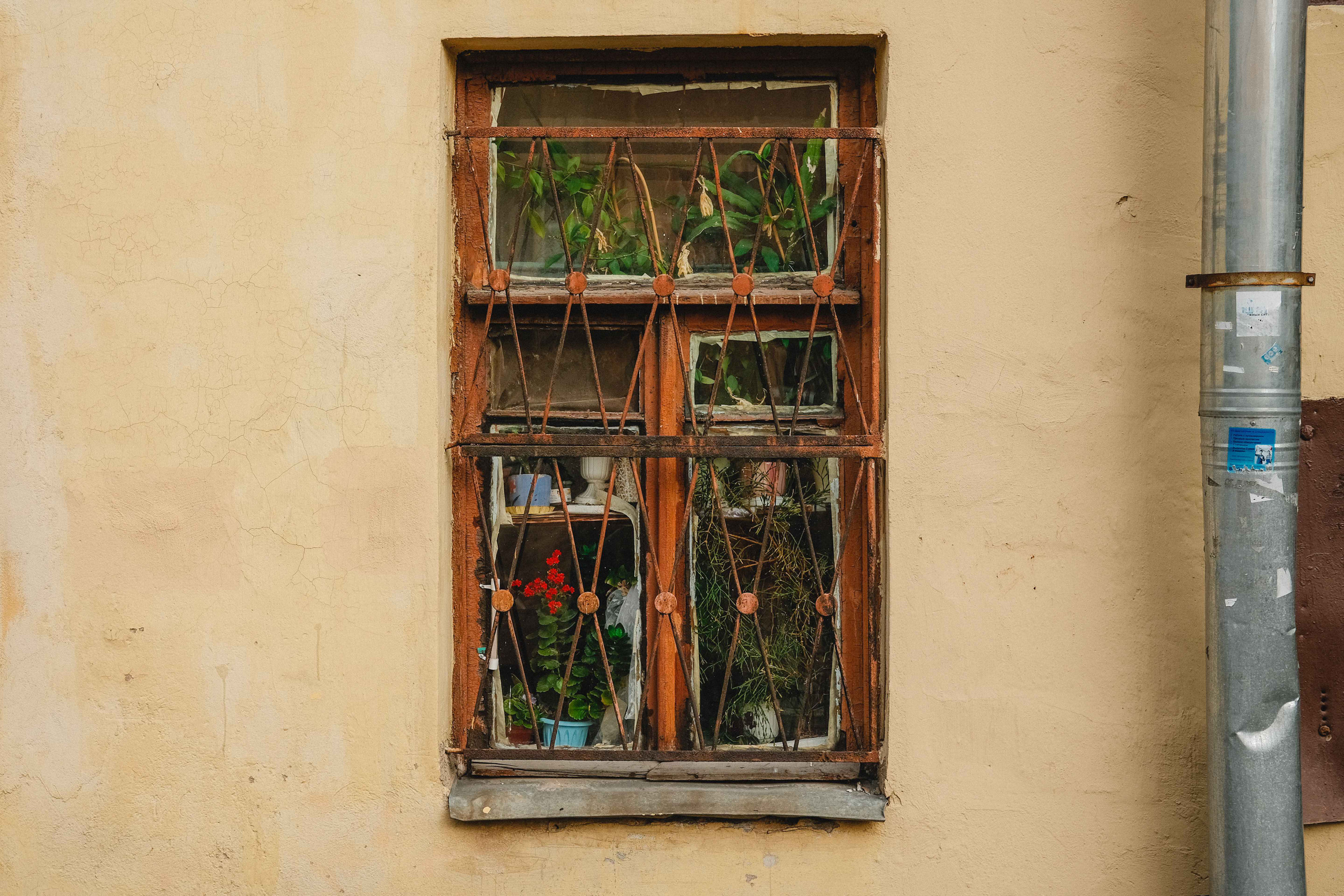 2023.10. Фотограф Алексей Алексеев