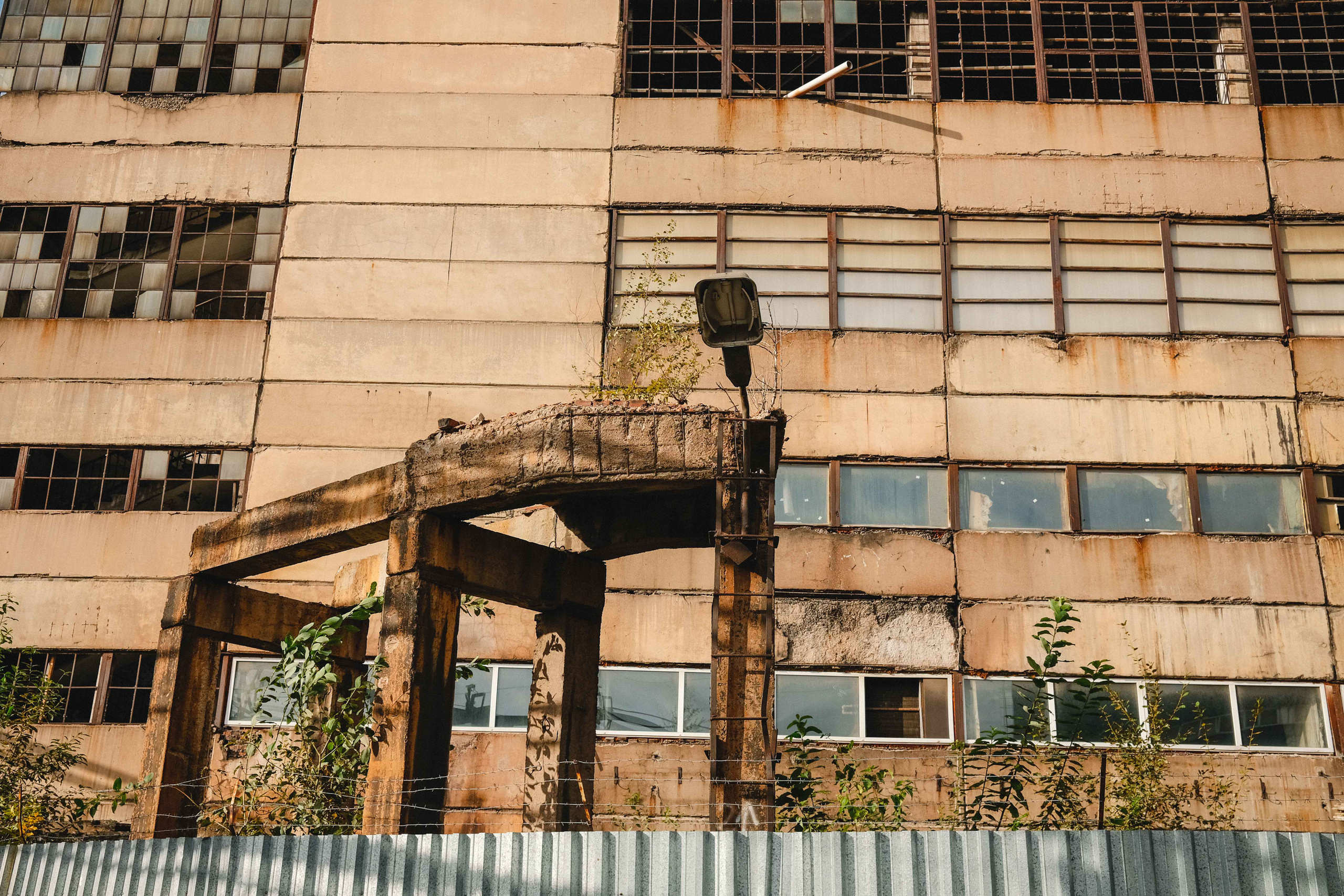 2023.10. Фотограф Алексей Алексеев