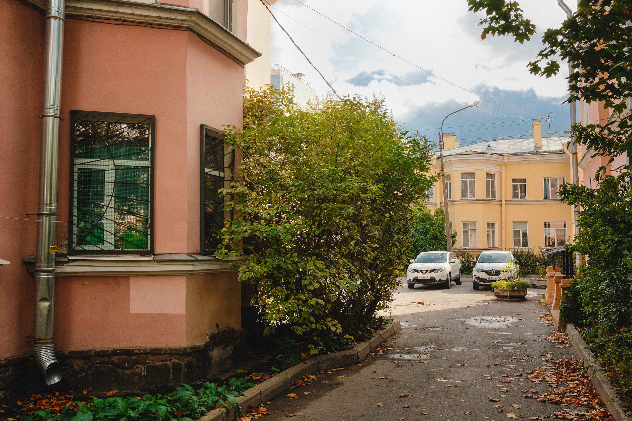 2023.10. Фотограф Алексей Алексеев