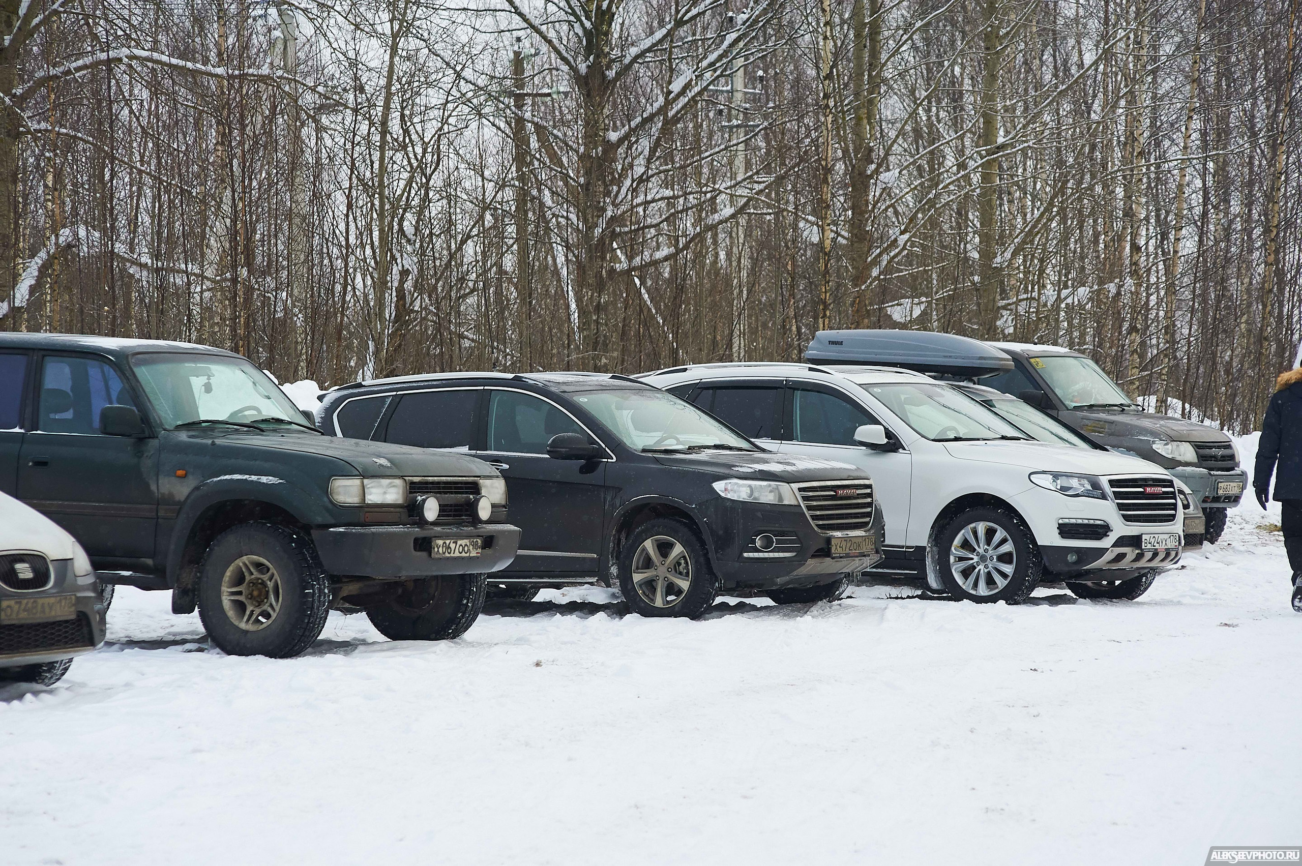 2018.02.17 — Золовкины посиделки у АвтоКОТов. Фотограф Алексей Алексеев