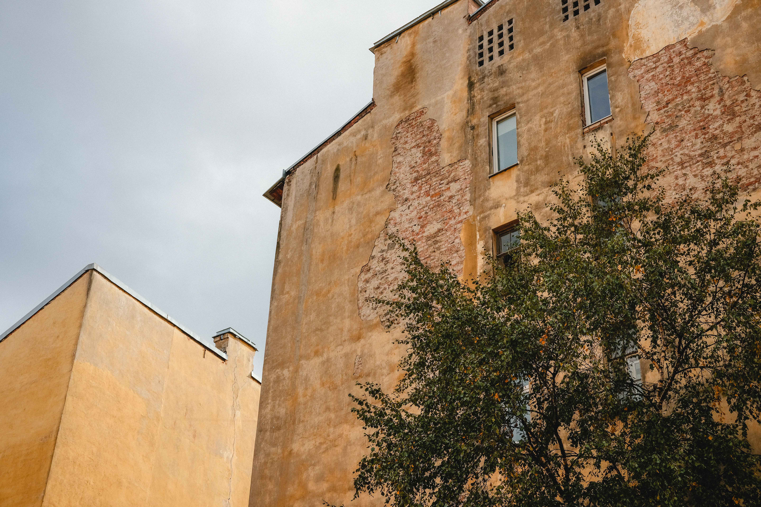 2023.10. Фотограф Алексей Алексеев