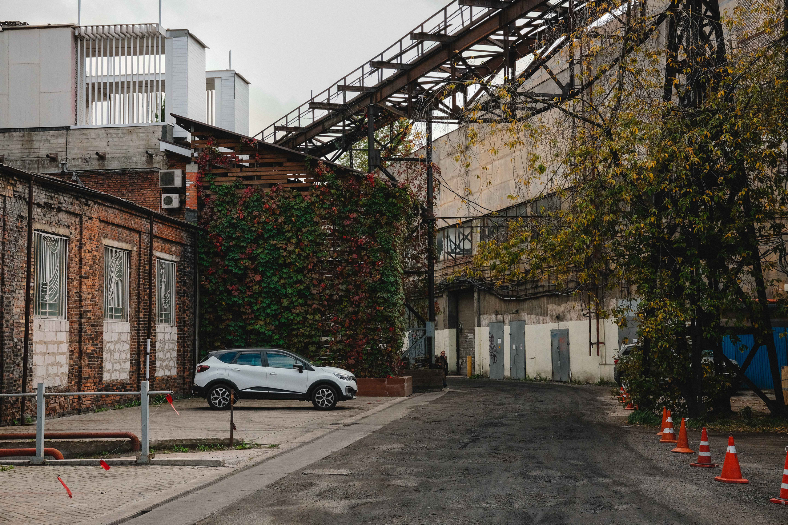 2023.10. Фотограф Алексей Алексеев