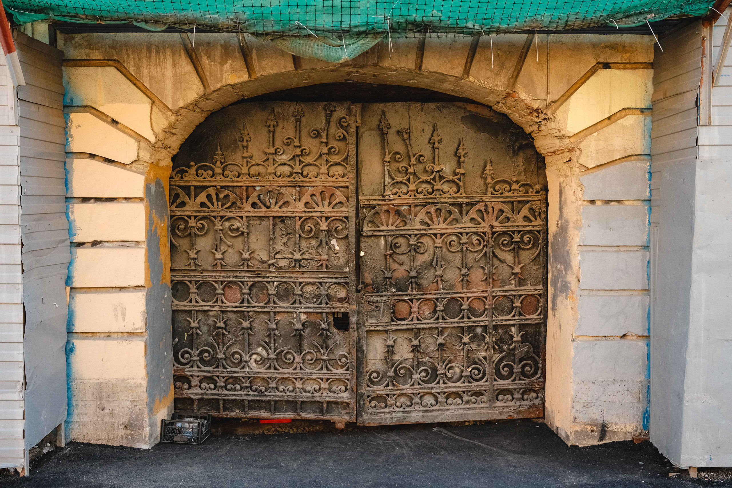 2023.05. Фотограф Алексей Алексеев