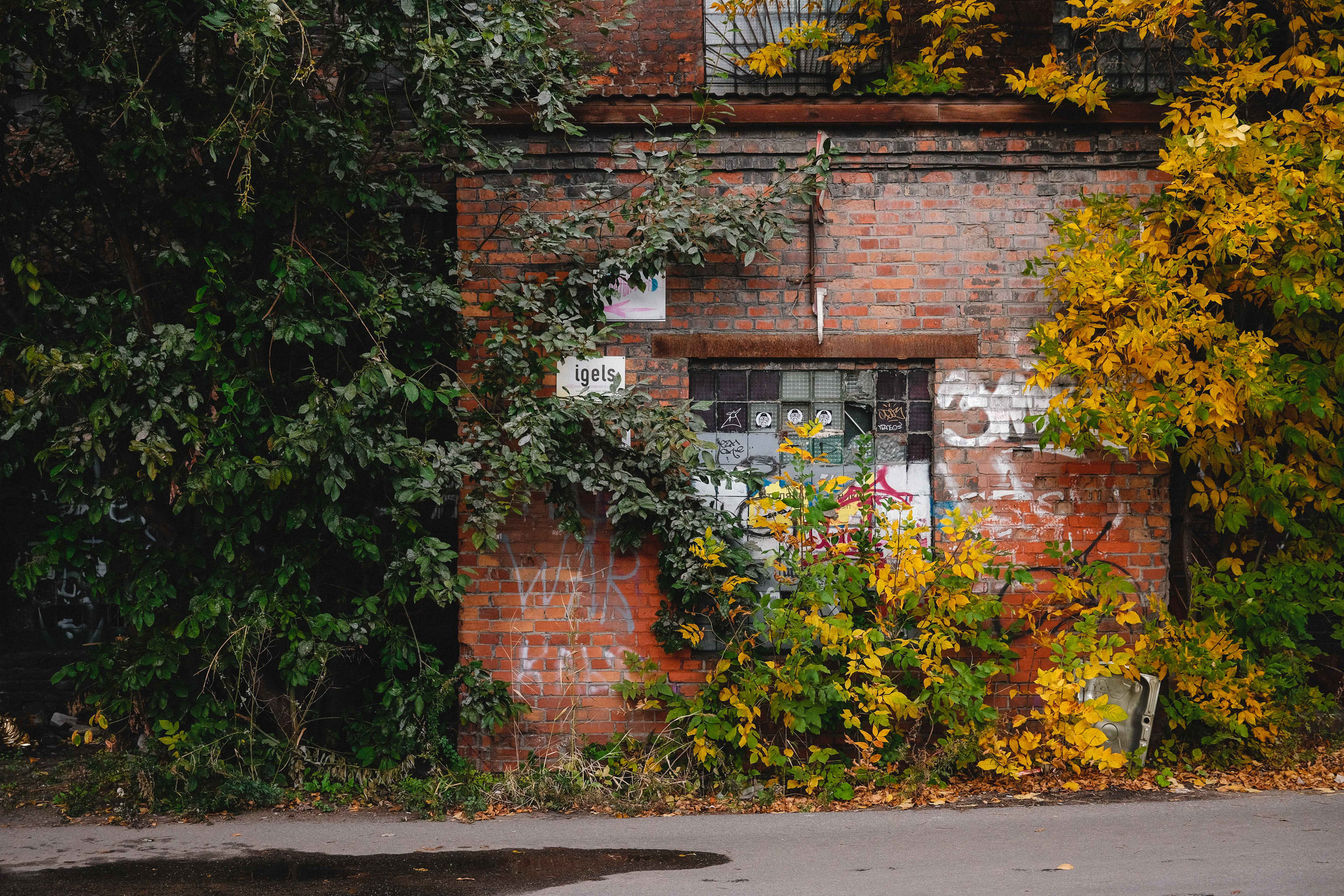 2023.10. Фотограф Алексей Алексеев
