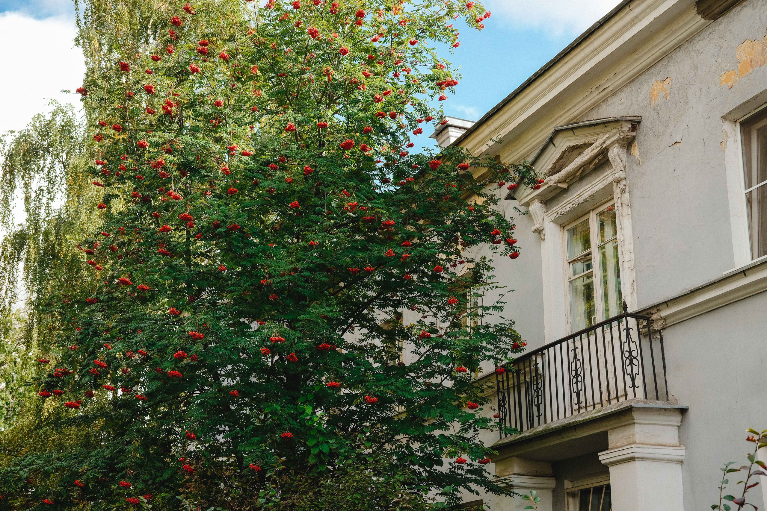 2023.10. Фотограф Алексей Алексеев