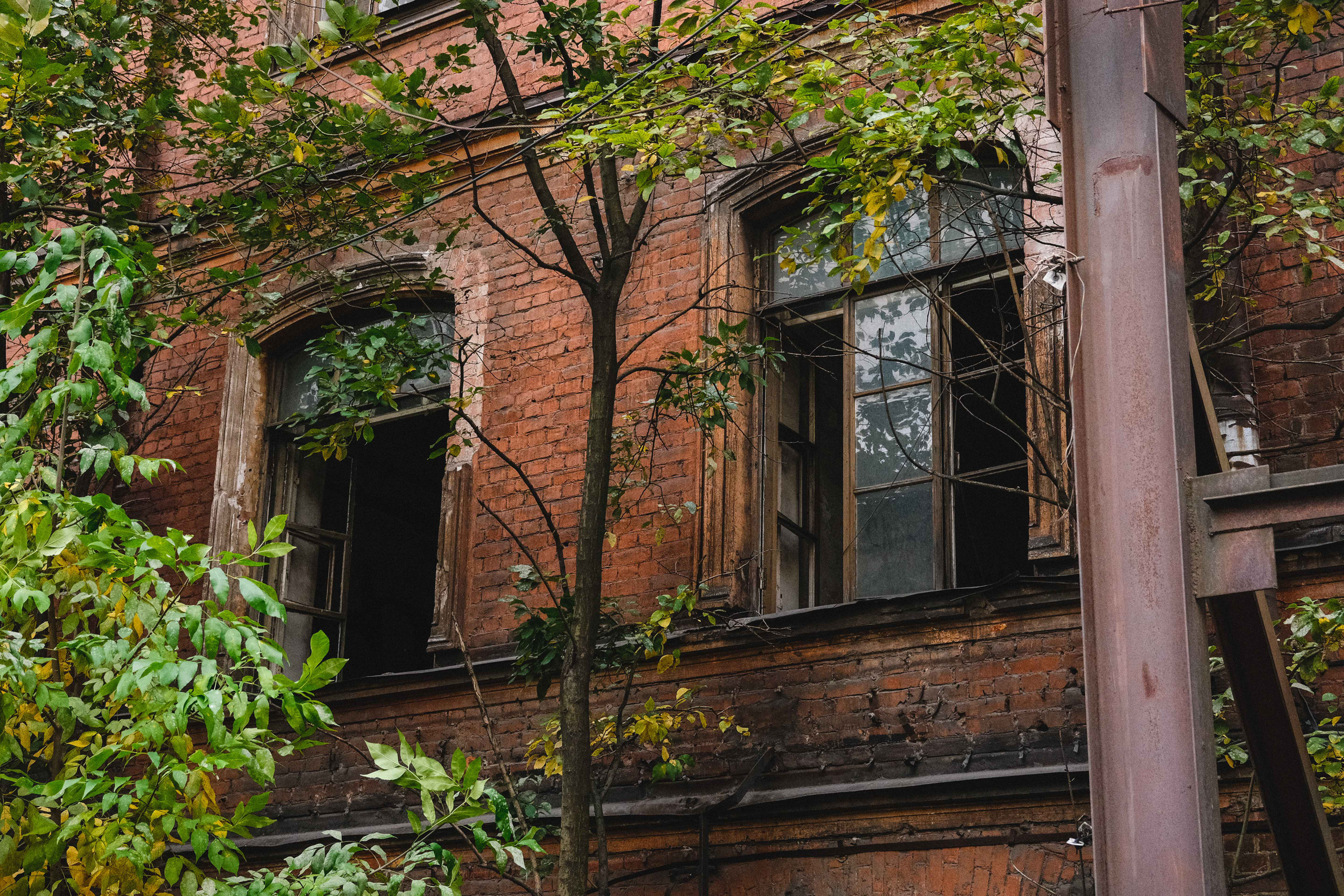 2023.10. Фотограф Алексей Алексеев