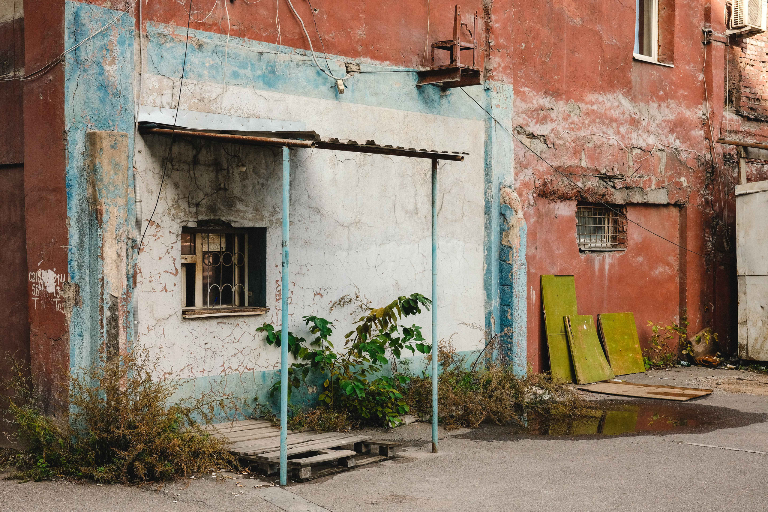 2023.10. Фотограф Алексей Алексеев