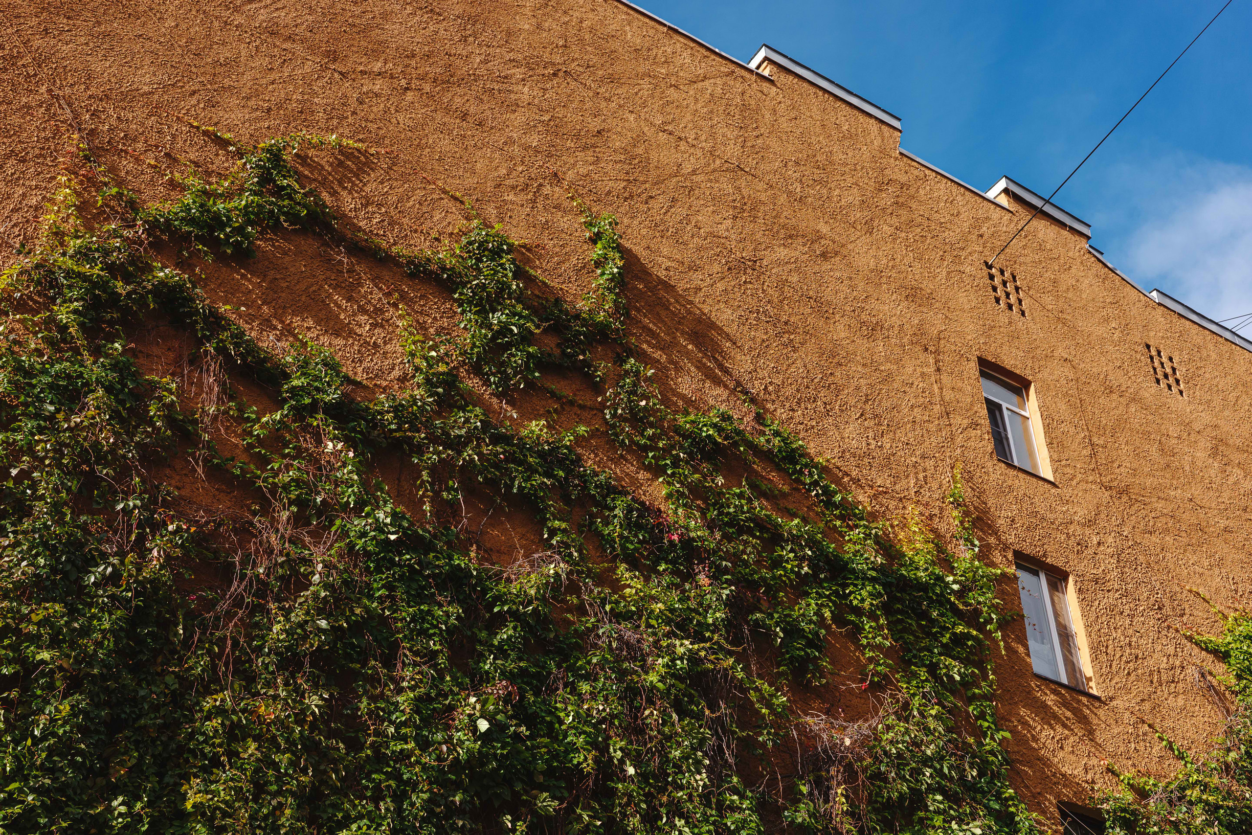 2023.10 — Тест Ricoh GRIIIx. Фотограф Алексей Алексеев